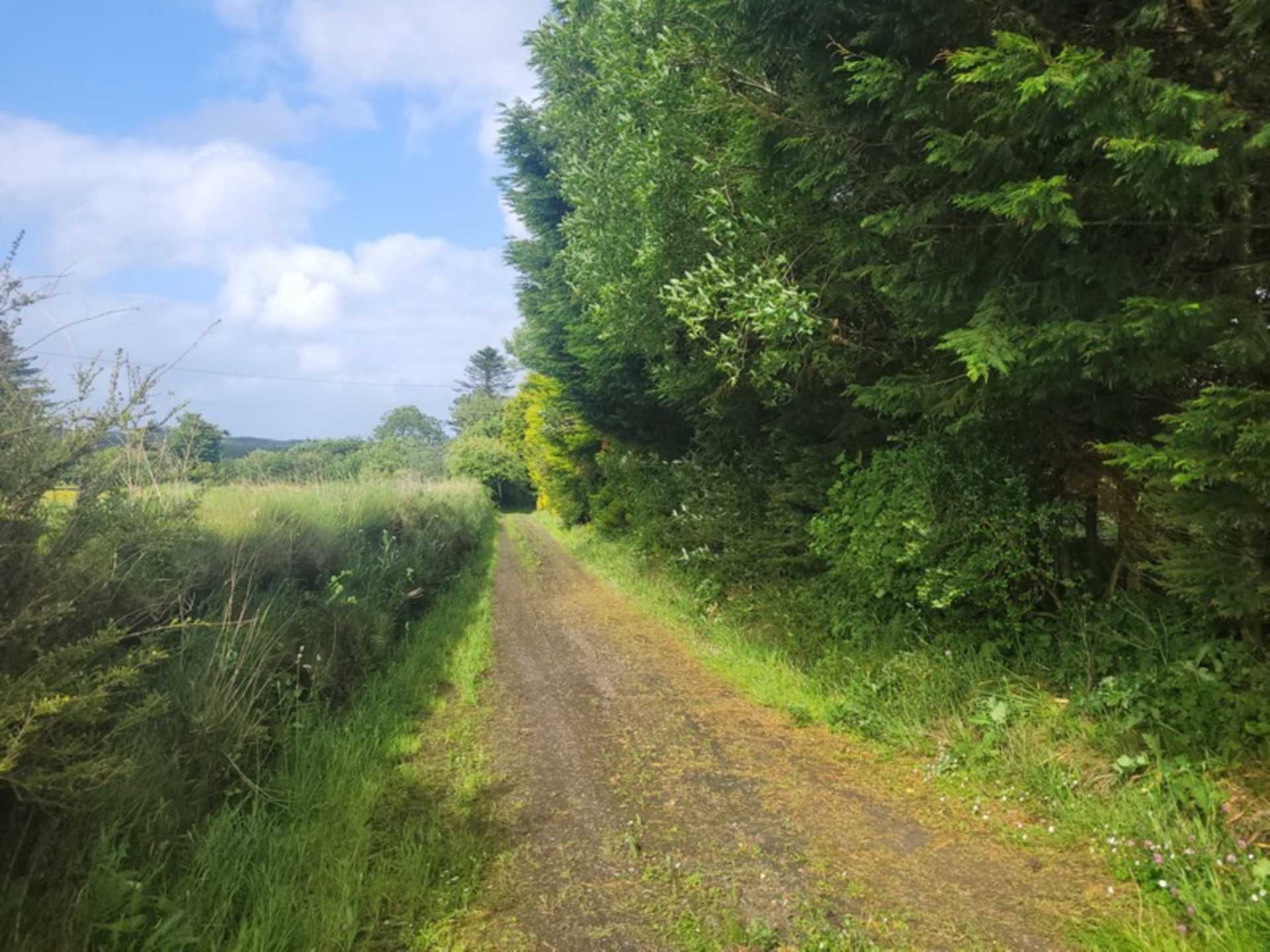 Foxborough, Ballinlough, Co. Roscommon  Foxborough, Ballinlough, Co. Roscommon