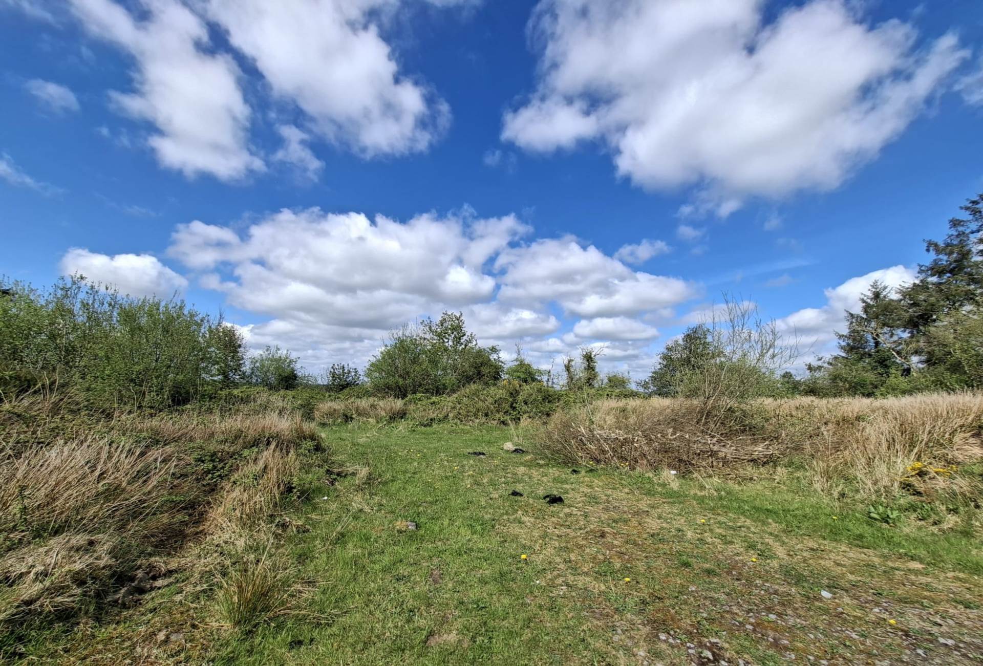 C. 1 Acre Site, Tallavamraher, Creggs, Co. Galway
