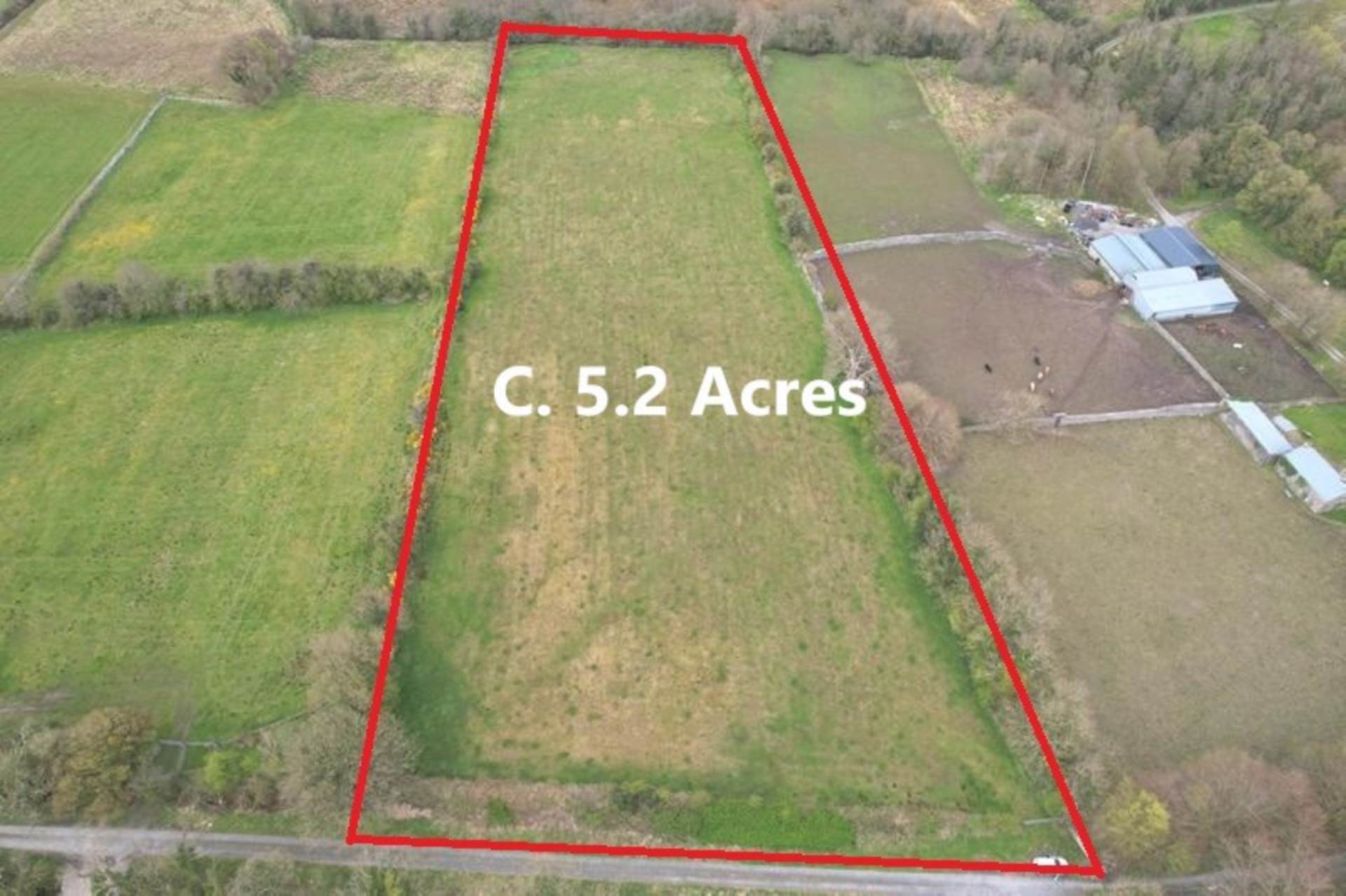 C. 13.65 Acres, Springfield, Williamstown, Co. Galway
