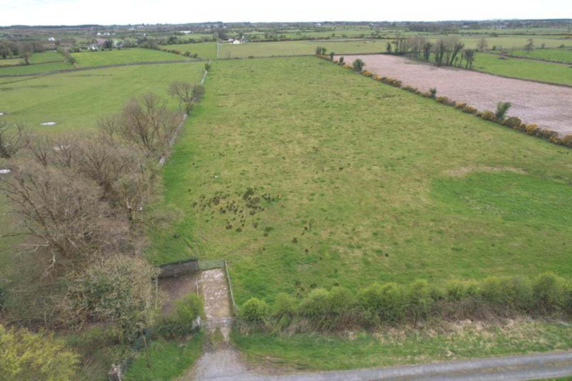 C. 13.65 Acres, Springfield, Williamstown, Co. Galway