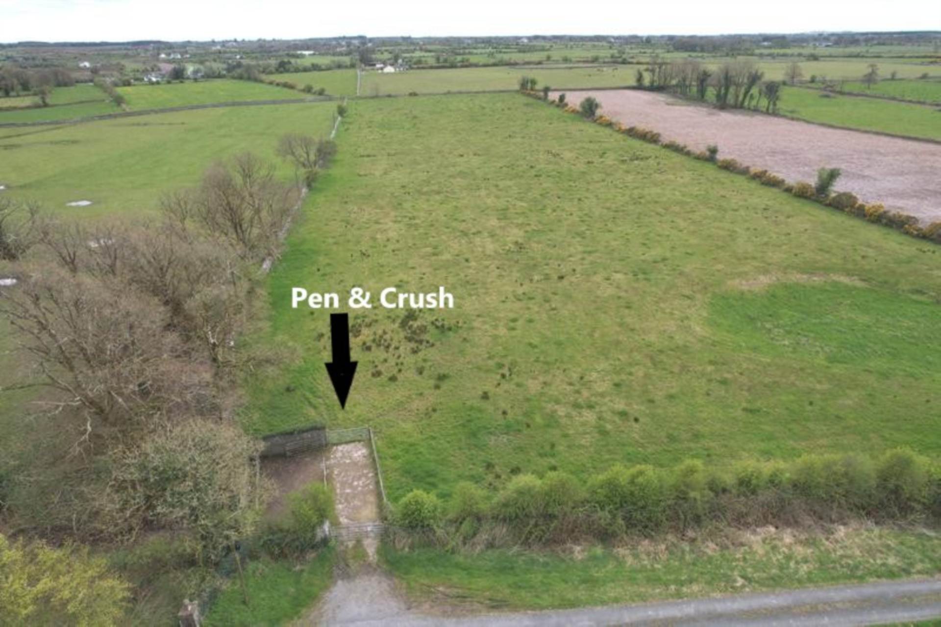 C. 13.65 Acres, Springfield, Williamstown, Co. Galway