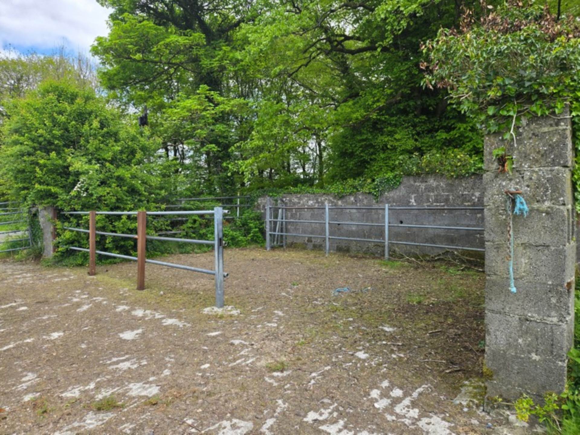 C. 13.65 Acres, Springfield, Williamstown, Co. Galway