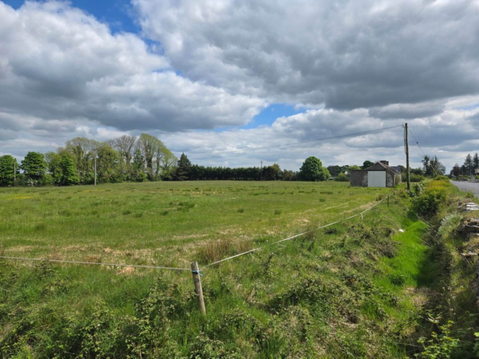 C. 13.65 Acres, Springfield, Williamstown, Co. Galway