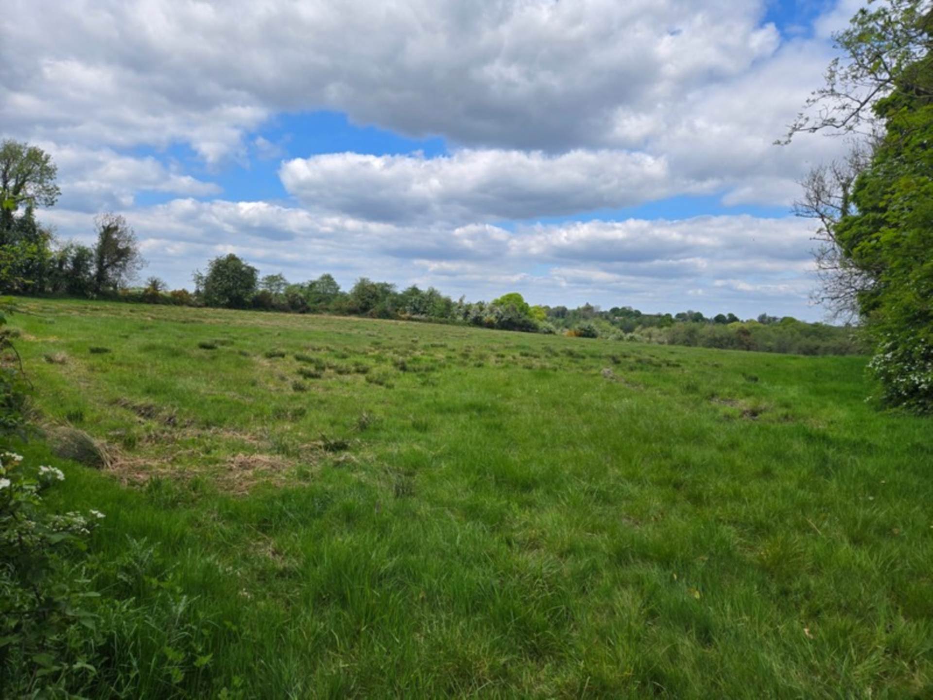 C. 13.65 Acres, Springfield, Williamstown, Co. Galway