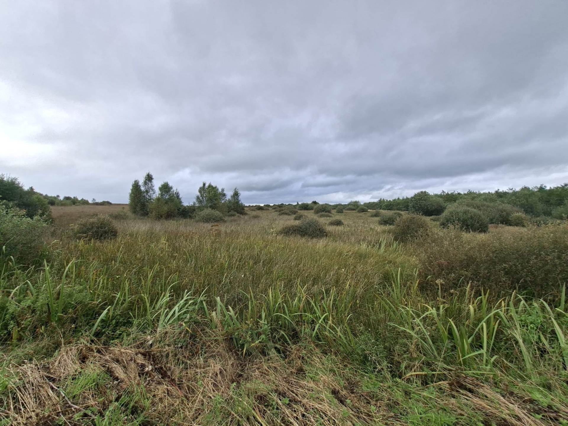 C. 28.89 Acres / 11.69 Hectares of mixed Lands, Cuilmore, Gurteen, Co. Sligo C. 28.89 Acres / 11.69 Hectares of mixed Lands, Cuilmore, Gurteen, Co. Sligo