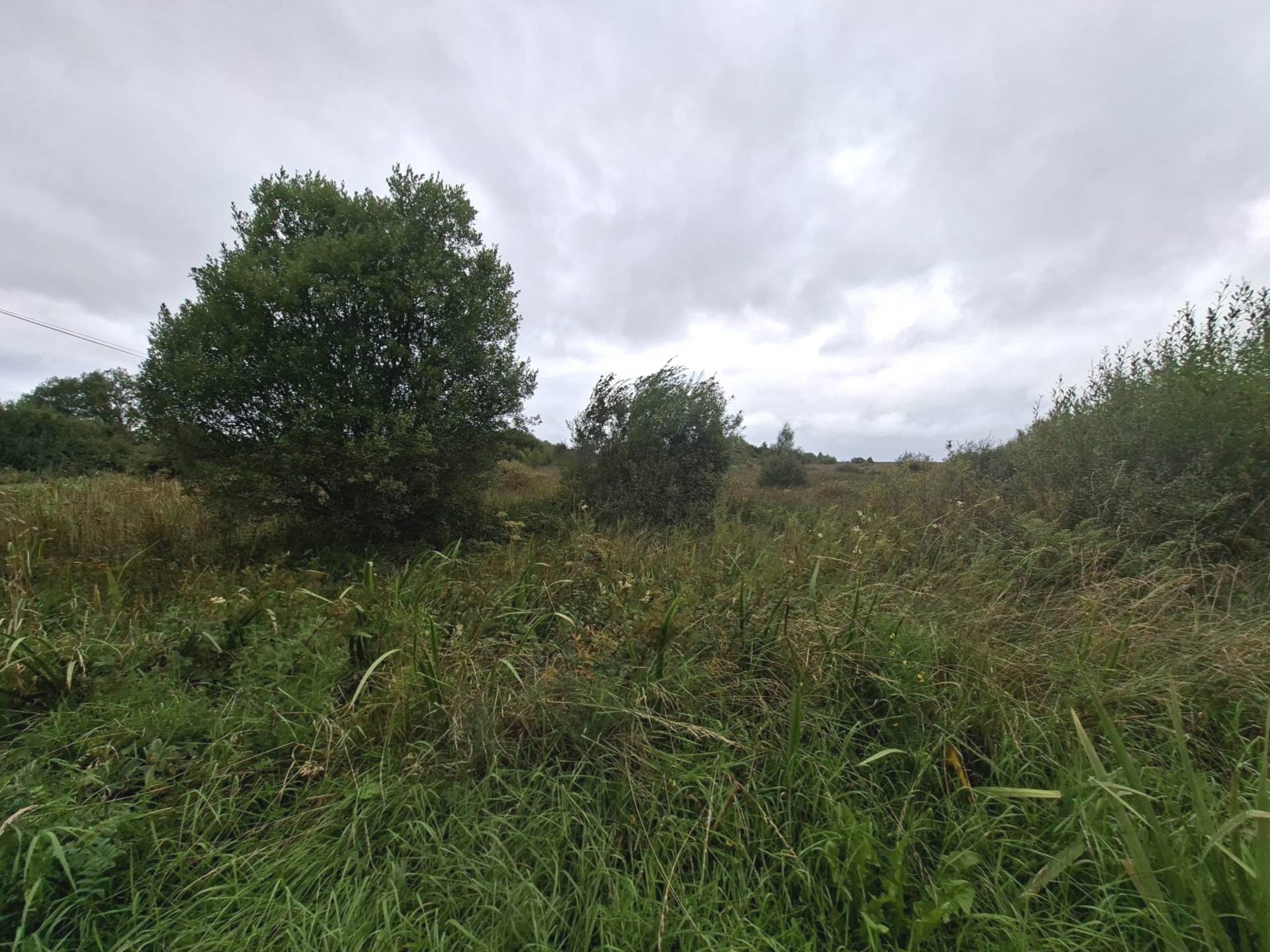 C. 28.89 Acres / 11.69 Hectares of mixed Lands, Cuilmore, Gurteen, Co. Sligo C. 28.89 Acres / 11.69 Hectares of mixed Lands, Cuilmore, Gurteen, Co. Sligo