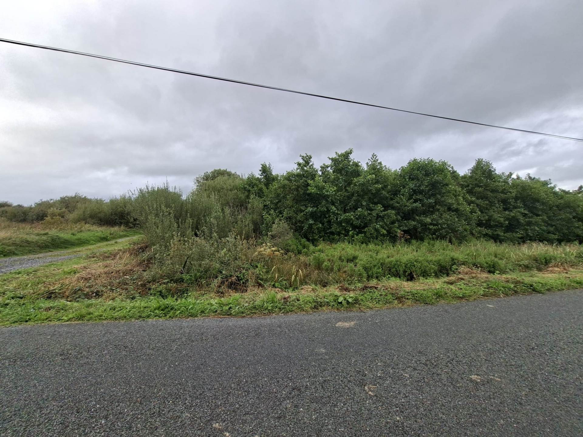 C. 28.89 Acres / 11.69 Hectares of mixed Lands, Cuilmore, Gurteen, Co. Sligo C. 28.89 Acres / 11.69 Hectares of mixed Lands, Cuilmore, Gurteen, Co. Sligo
