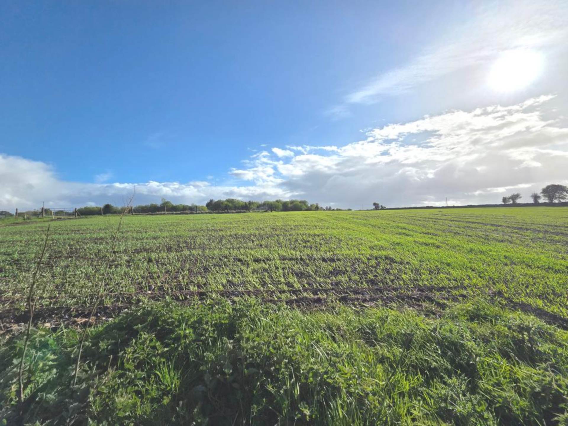 Carrowntober East, Kilkerrin, Co. Galway Carrowntober East, Kilkerrin, Co. Galway