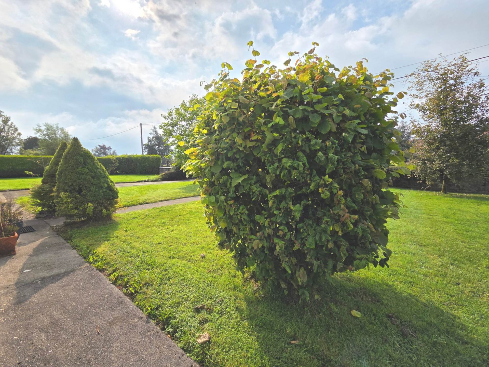 Ballyhard, Glenamaddy, Co. Galway F45 H049 Ballyhard, Glenamaddy, Co. Galway F45 H049