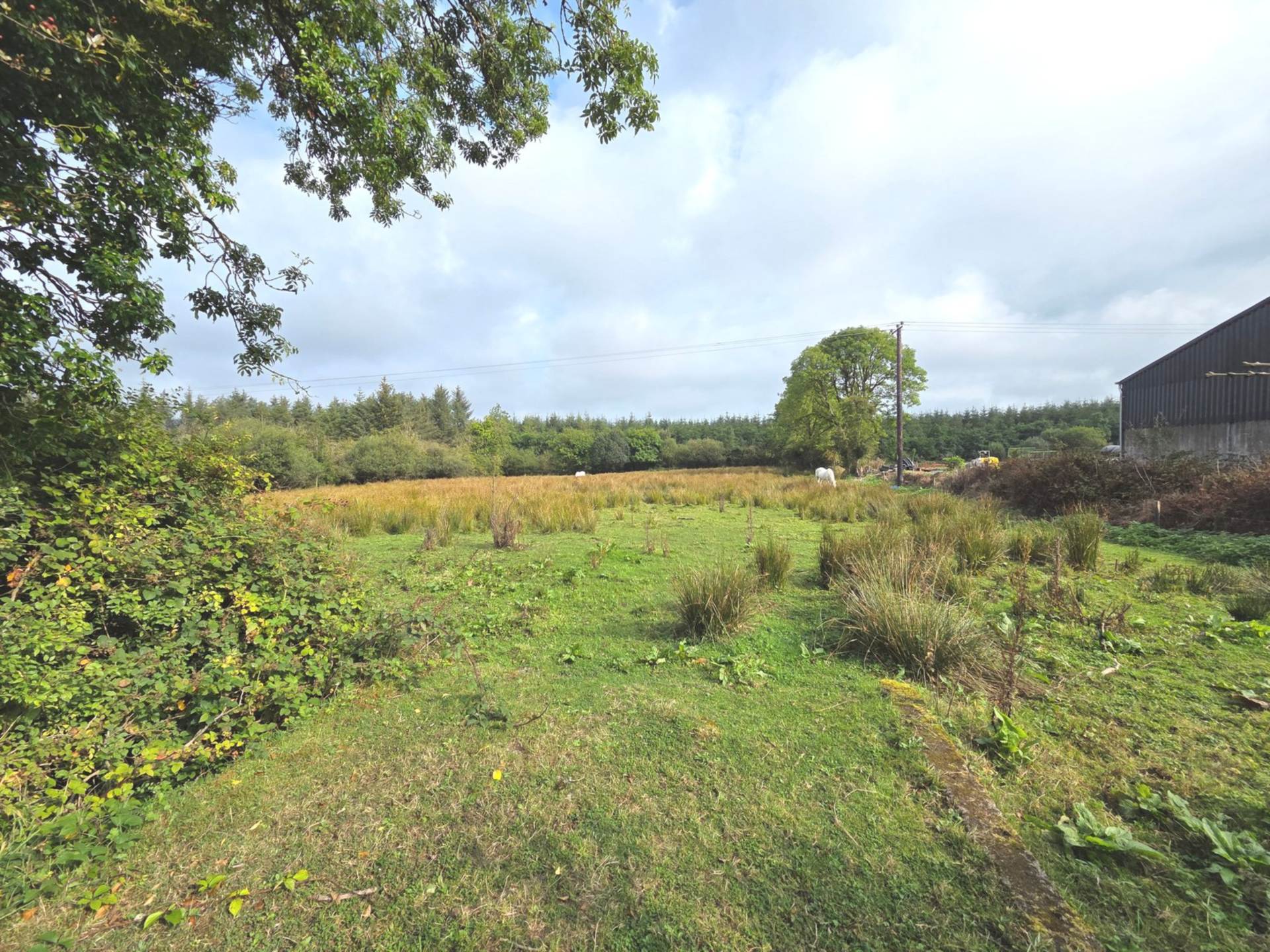 Ballyhard, Glenamaddy, Co. Galway F45 H049 Ballyhard, Glenamaddy, Co. Galway F45 H049