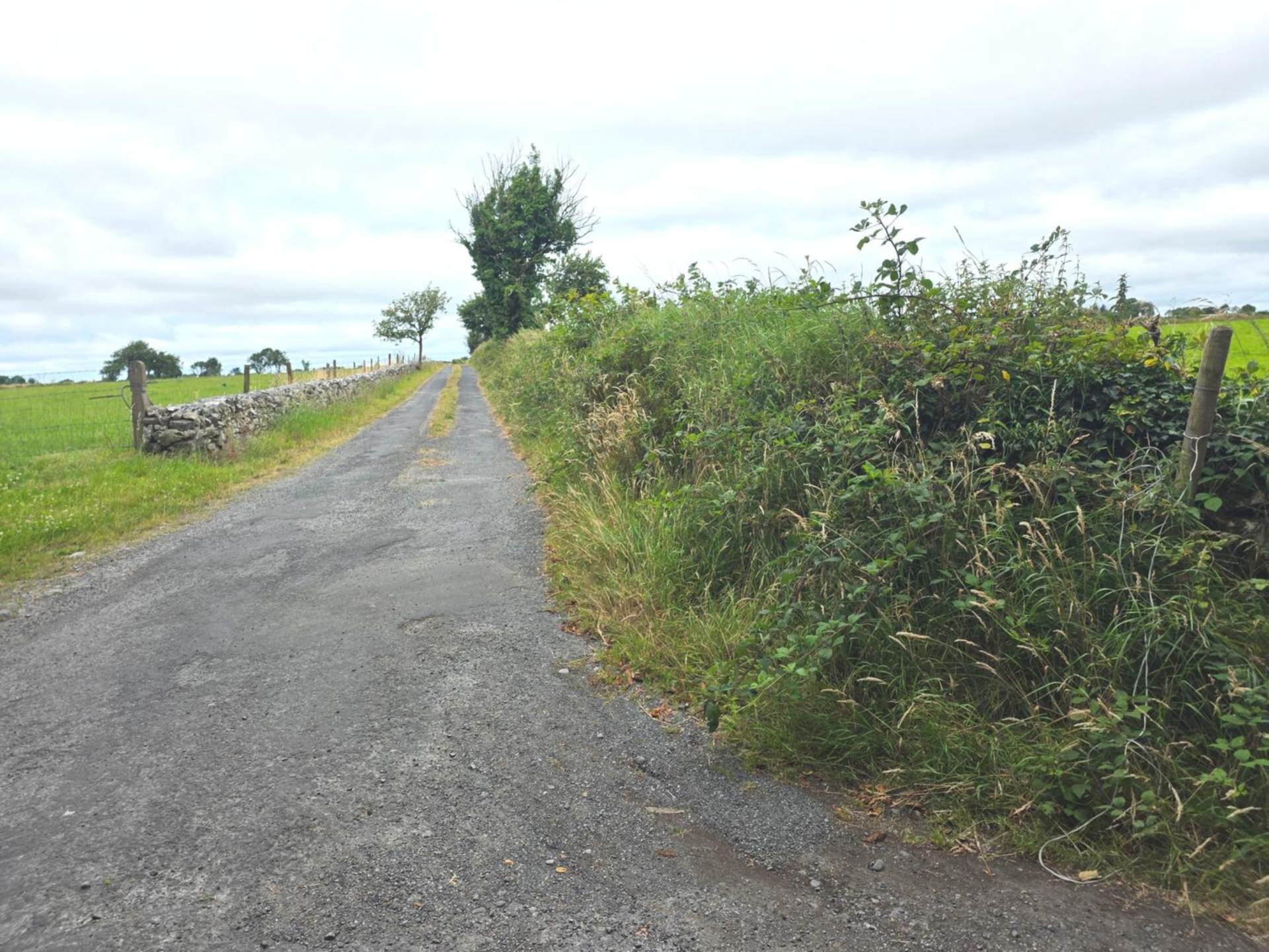 C. 7 Acres of Good Quality Lands, Carrowntober East, Kilkerrin, Co. Galway C. 7 Acres of Good Quality Lands, Carrowntober East, Kilkerrin, Co. Galway