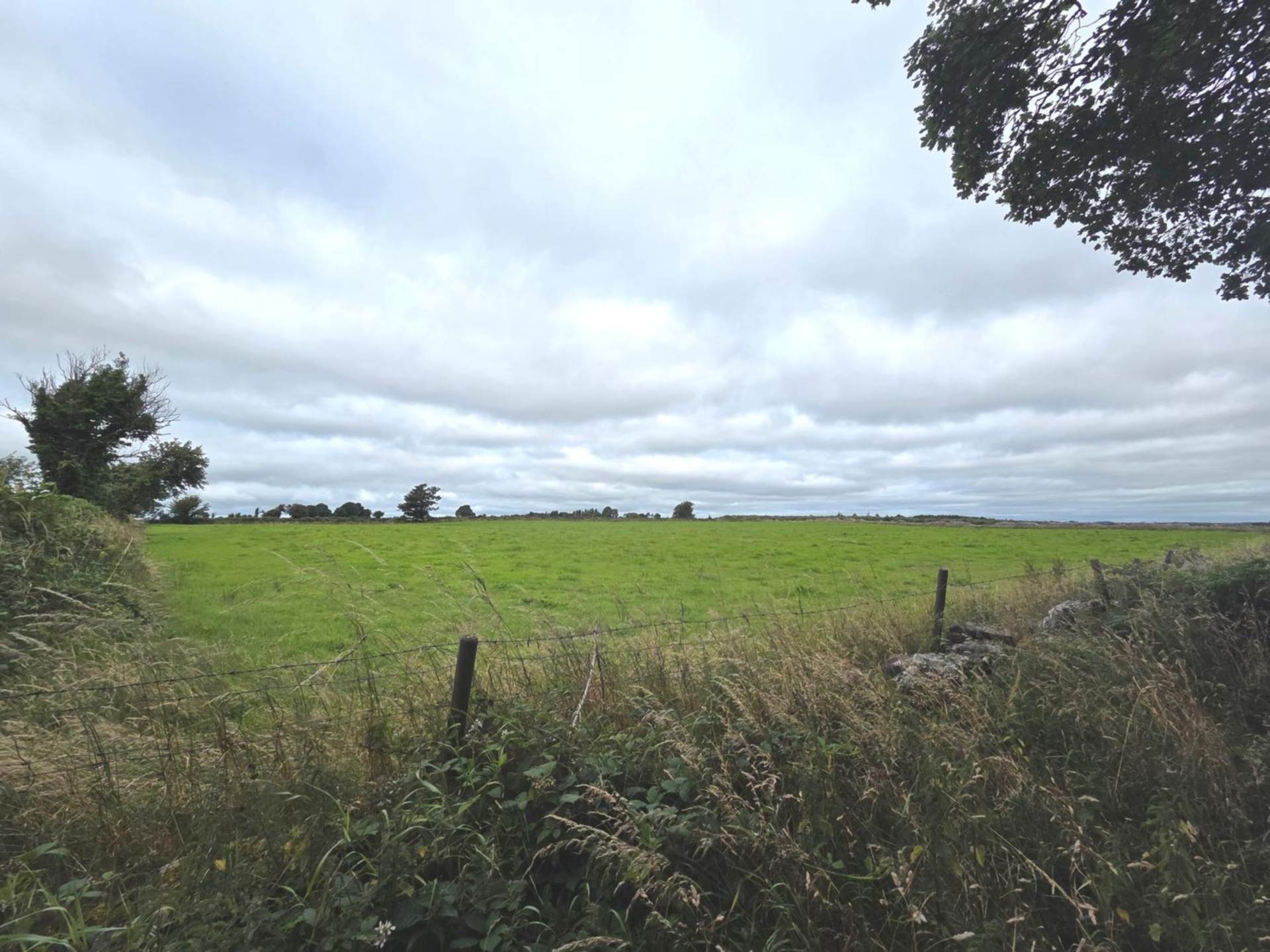 C. 7 Acres of Good Quality Lands, Carrowntober East, Kilkerrin, Co. Galway C. 7 Acres of Good Quality Lands, Carrowntober East, Kilkerrin, Co. Galway