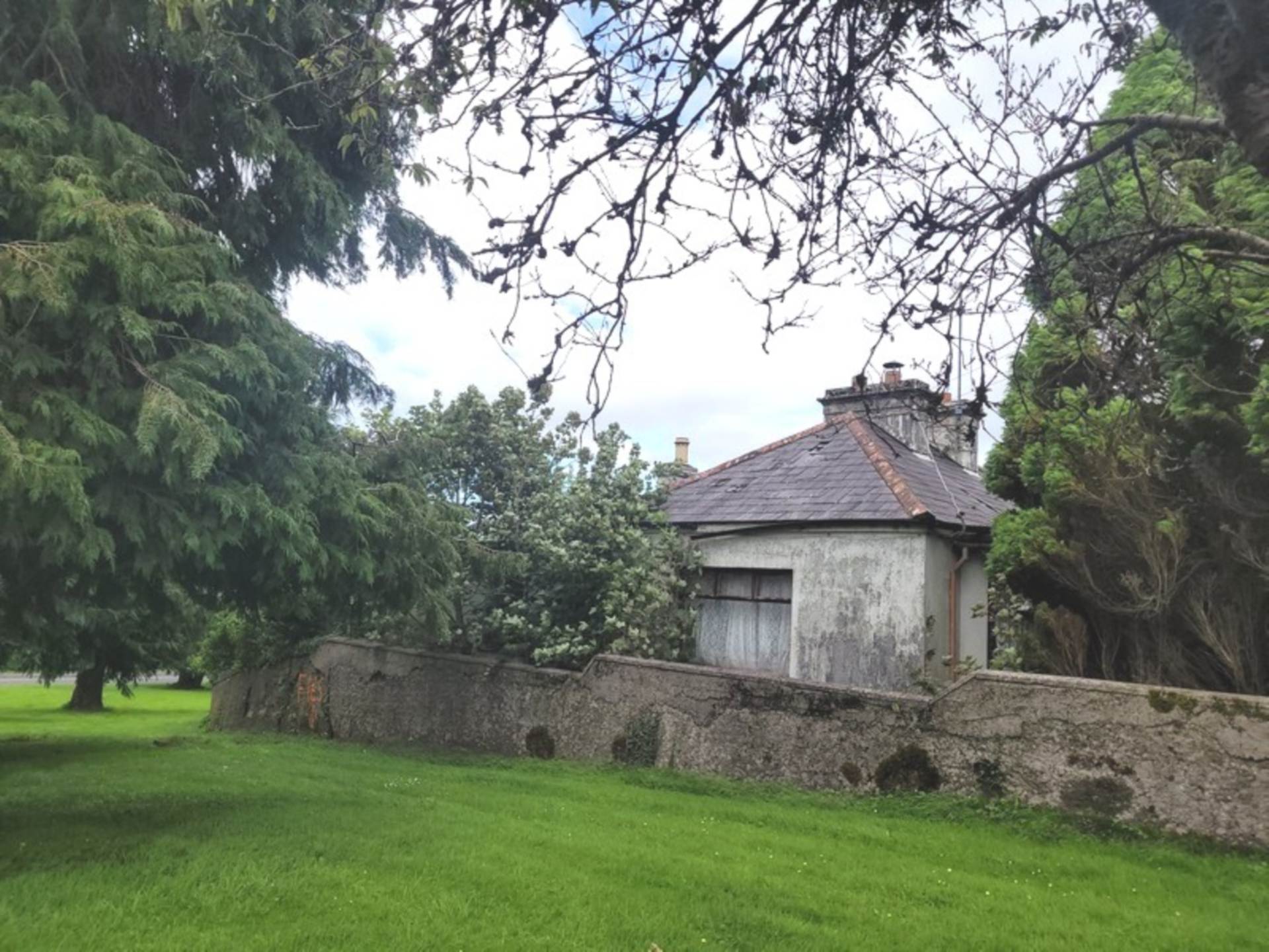 Knockroe, Castlerea, Co. Roscommon F45 FW24 Knockroe, Castlerea, Co. Roscommon F45 FW24