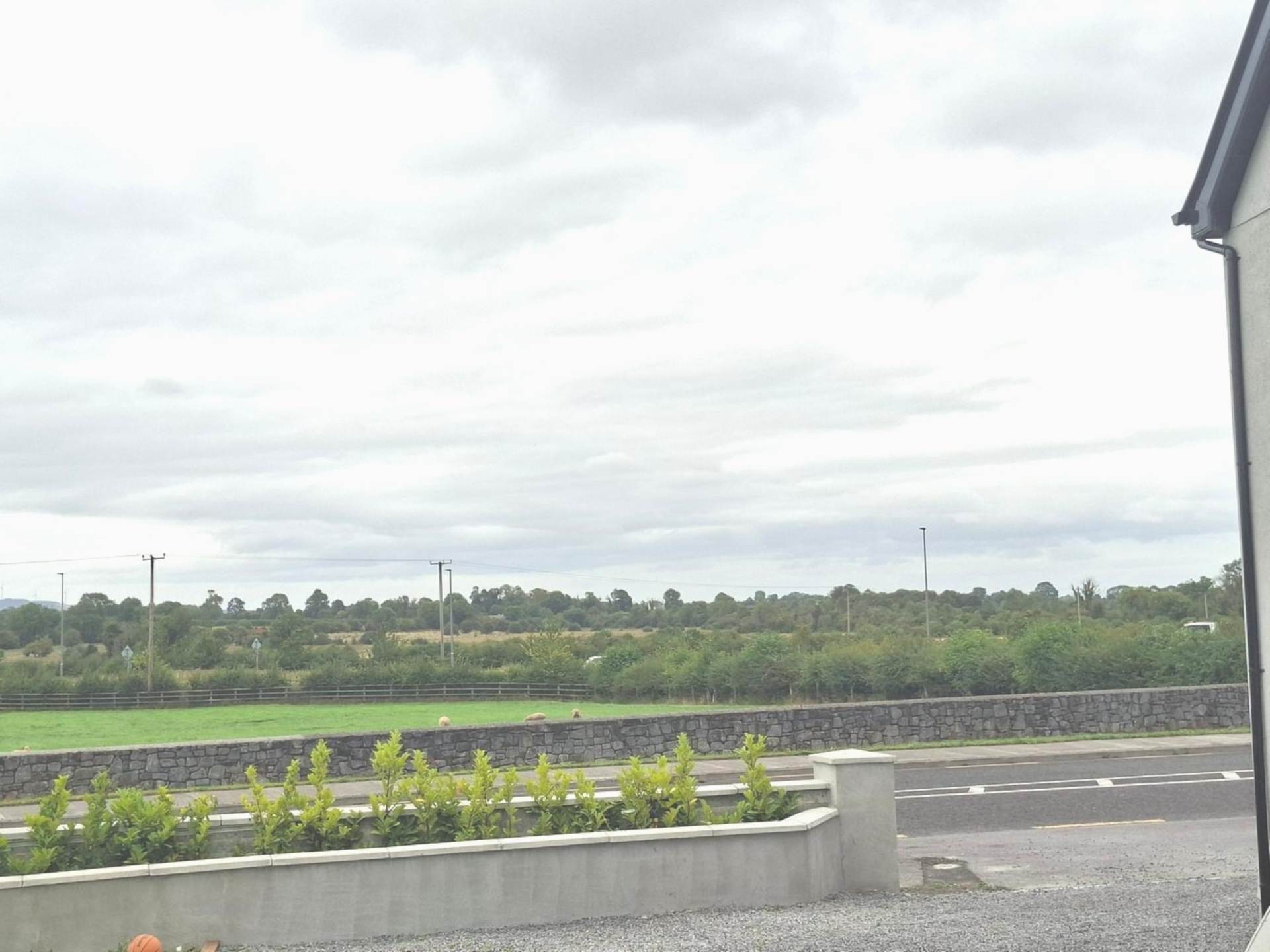 Gallowstown, Rocommon F42 DC03 Gallowstown, Rocommon F42 DC03