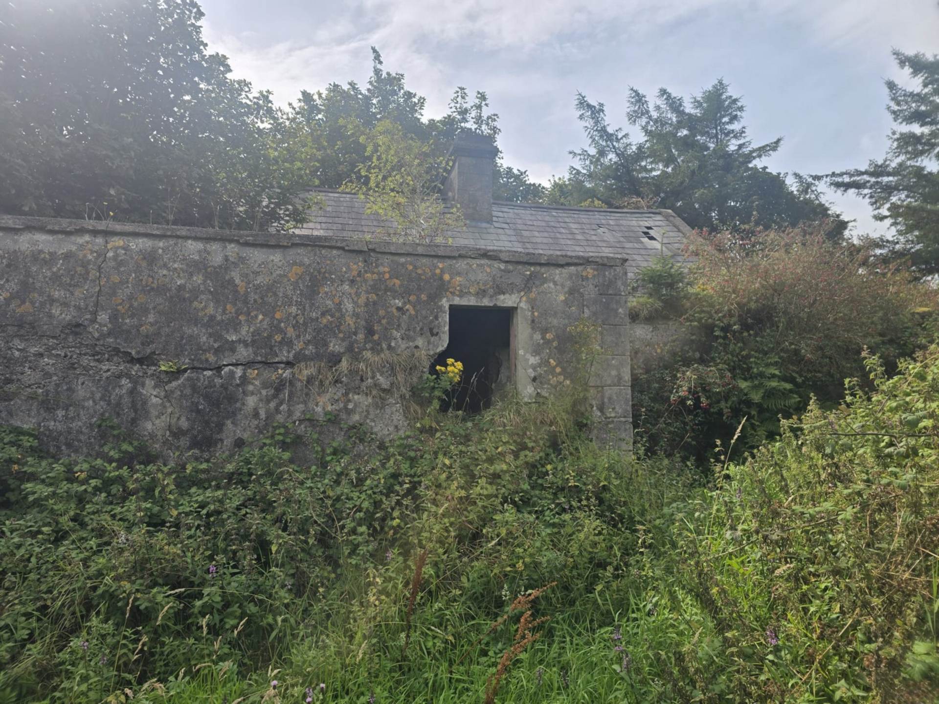 C. 44.16 Acres, Carrowmore, Ballycastle, Co. Mayo C. 44.16 Acres, Carrowmore, Ballycastle, Co. Mayo