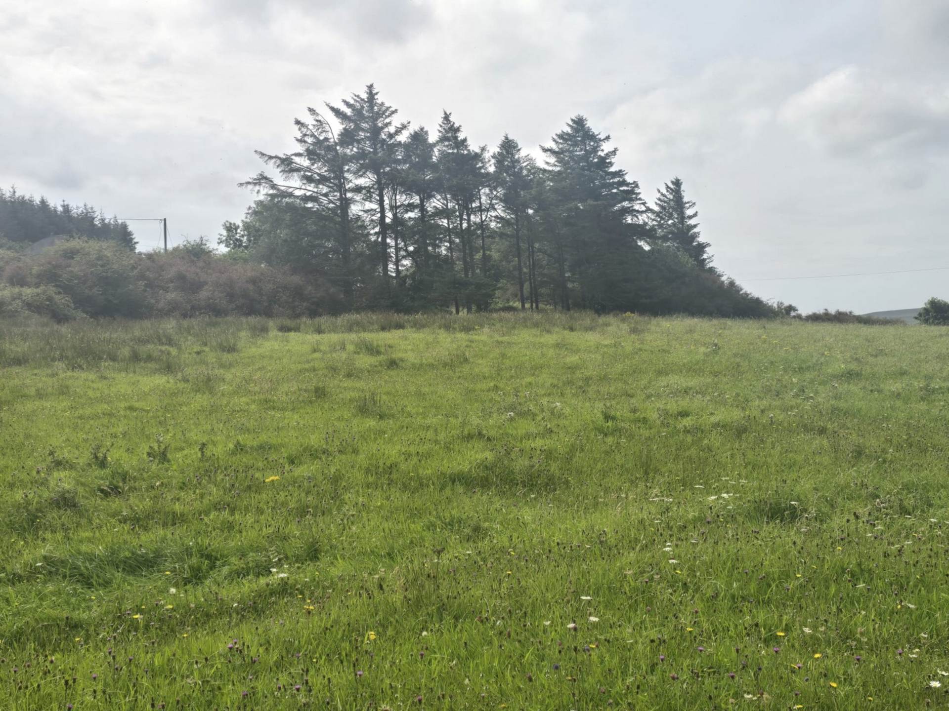 C. 44.16 Acres, Carrowmore, Ballycastle, Co. Mayo C. 44.16 Acres, Carrowmore, Ballycastle, Co. Mayo