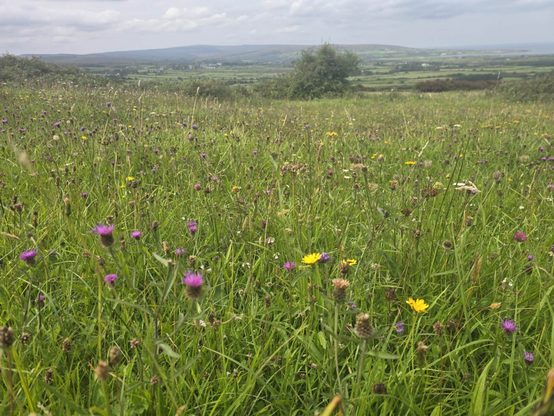 C. 44.16 Acres, Carrowmore, Ballycastle, Co. Mayo C. 44.16 Acres, Carrowmore, Ballycastle, Co. Mayo