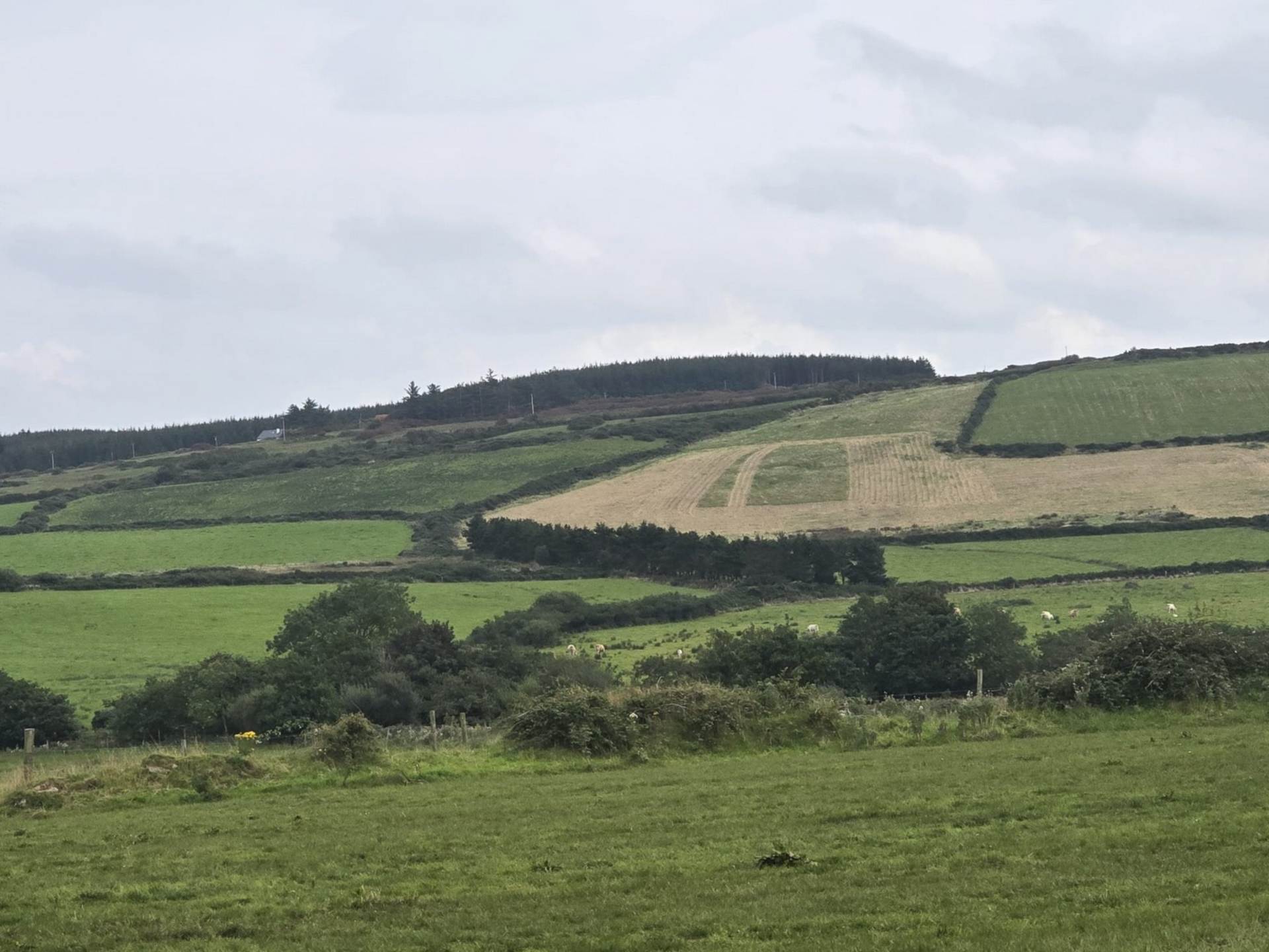 C. 44.16 Acres, Carrowmore, Ballycastle, Co. Mayo C. 44.16 Acres, Carrowmore, Ballycastle, Co. Mayo