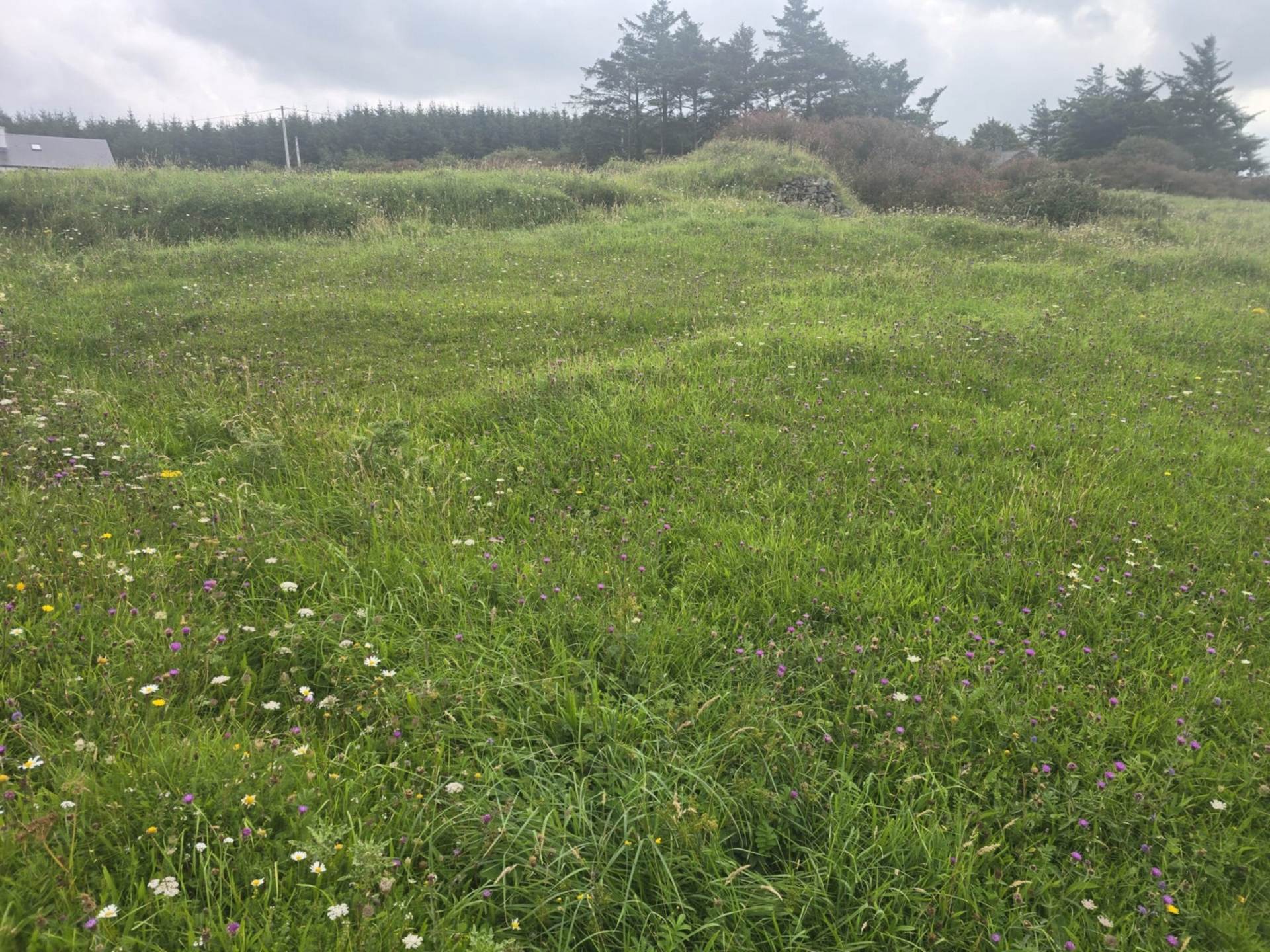 C. 44.16 Acres, Carrowmore, Ballycastle, Co. Mayo C. 44.16 Acres, Carrowmore, Ballycastle, Co. Mayo