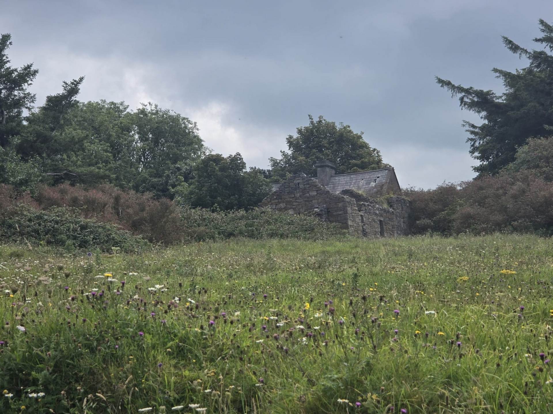 C. 44.16 Acres, Carrowmore, Ballycastle, Co. Mayo C. 44.16 Acres, Carrowmore, Ballycastle, Co. Mayo