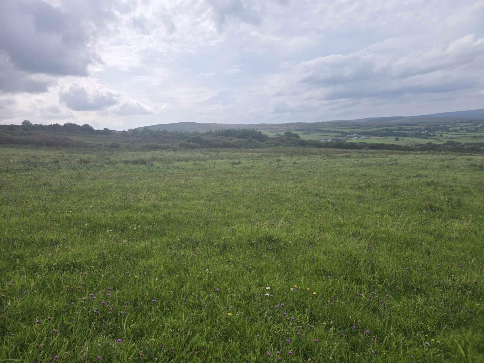 C. 44.16 Acres, Carrowmore, Ballycastle, Co. Mayo C. 44.16 Acres, Carrowmore, Ballycastle, Co. Mayo