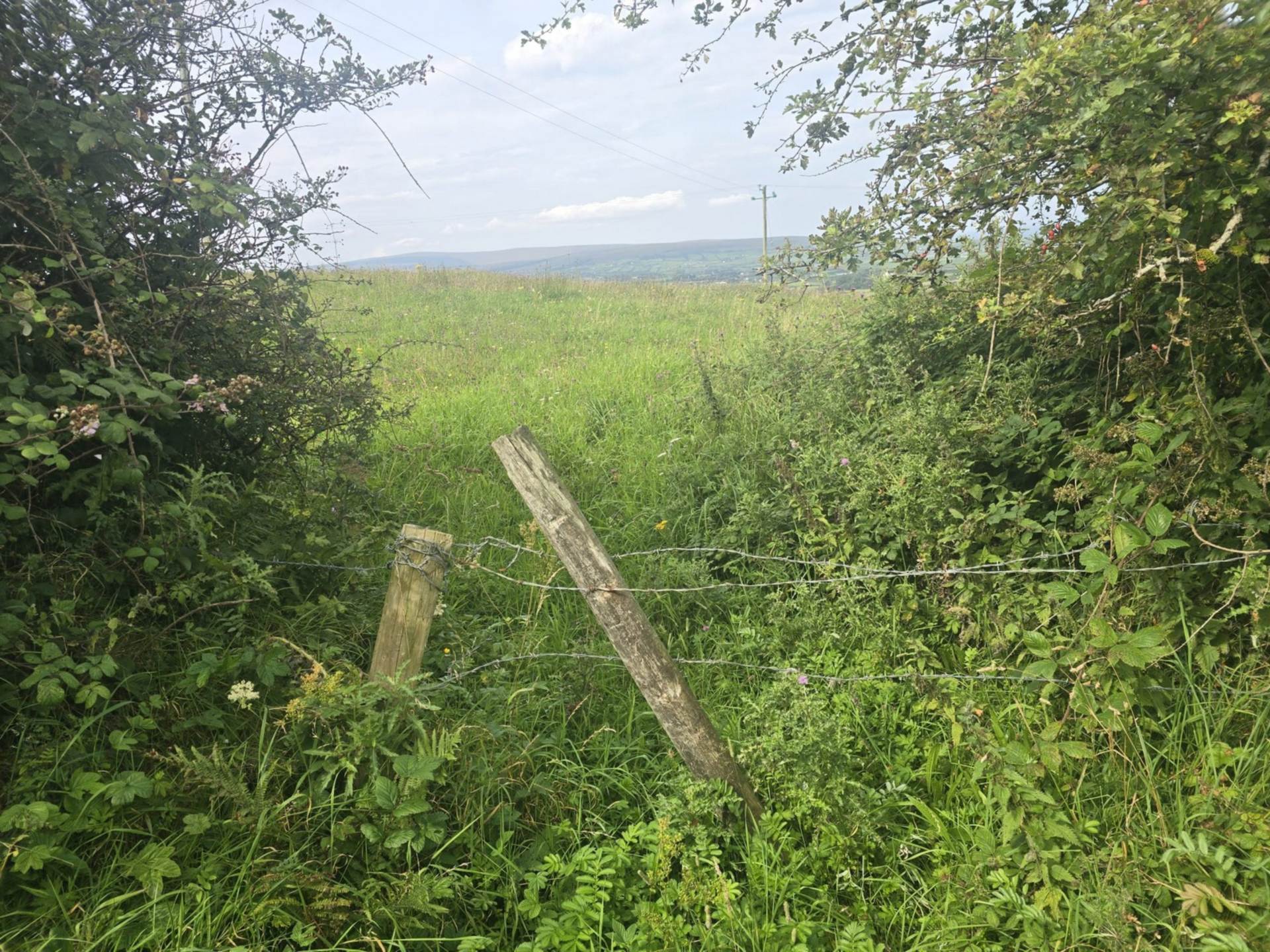 C. 44.16 Acres, Carrowmore, Ballycastle, Co. Mayo C. 44.16 Acres, Carrowmore, Ballycastle, Co. Mayo