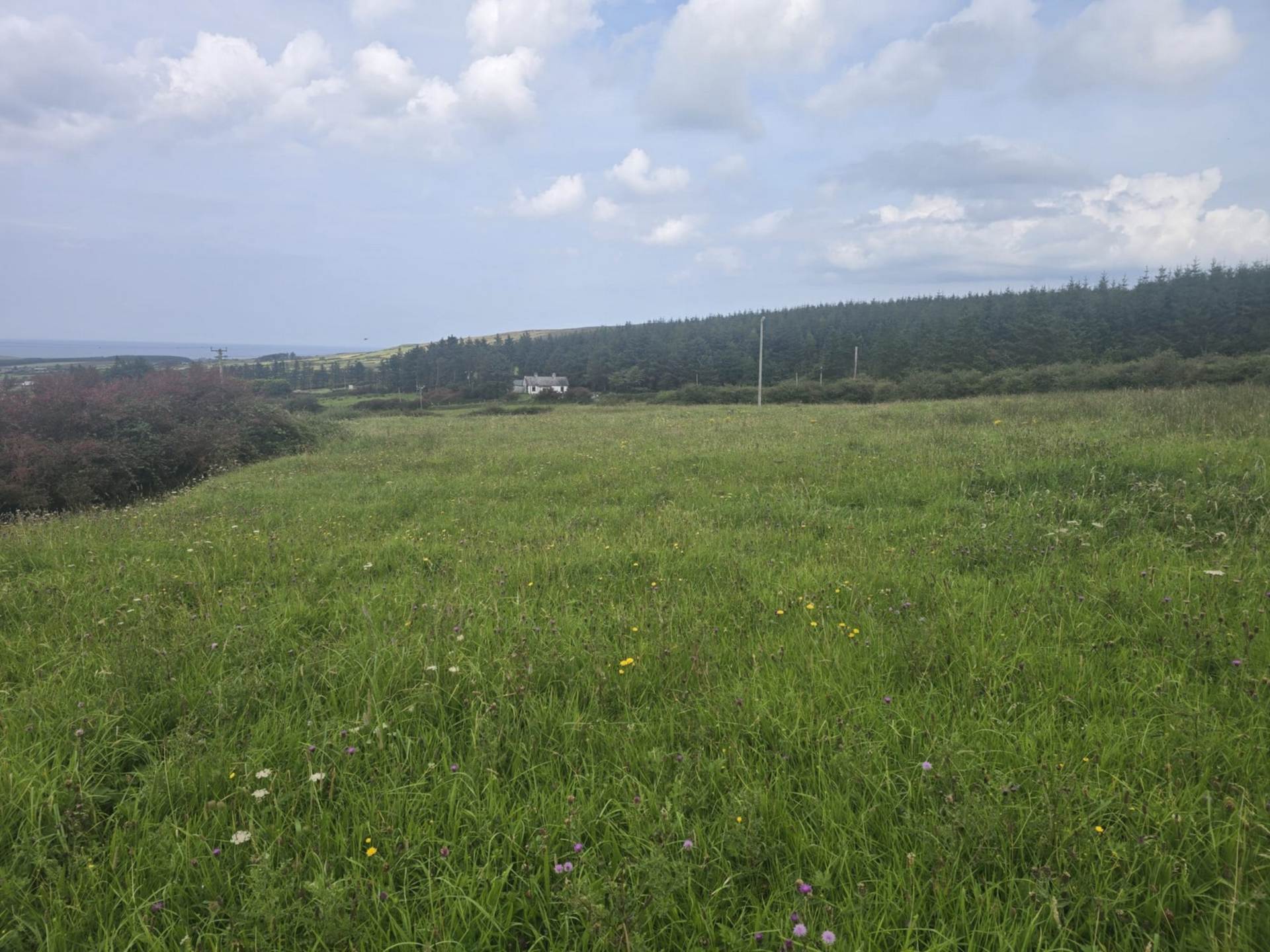 C. 44.16 Acres, Carrowmore, Ballycastle, Co. Mayo C. 44.16 Acres, Carrowmore, Ballycastle, Co. Mayo