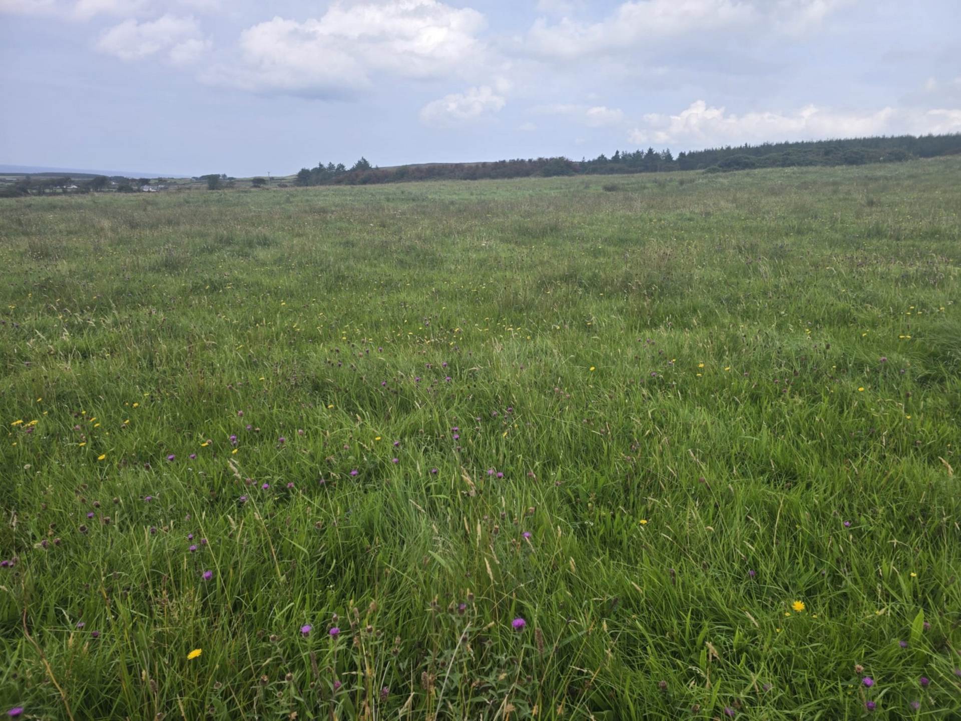 C. 44.16 Acres, Carrowmore, Ballycastle, Co. Mayo C. 44.16 Acres, Carrowmore, Ballycastle, Co. Mayo