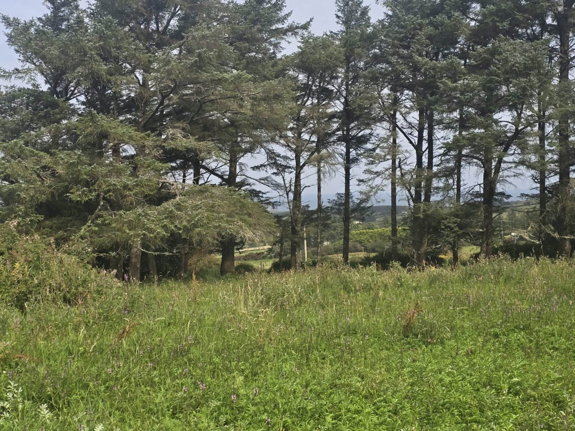 C. 44.16 Acres, Carrowmore, Ballycastle, Co. Mayo C. 44.16 Acres, Carrowmore, Ballycastle, Co. Mayo