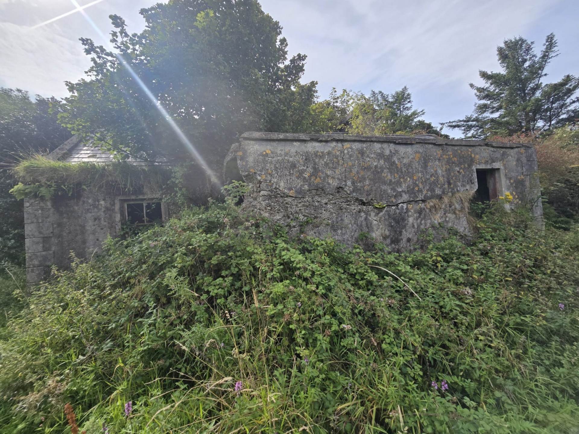 C. 44.16 Acres, Carrowmore, Ballycastle, Co. Mayo C. 44.16 Acres, Carrowmore, Ballycastle, Co. Mayo