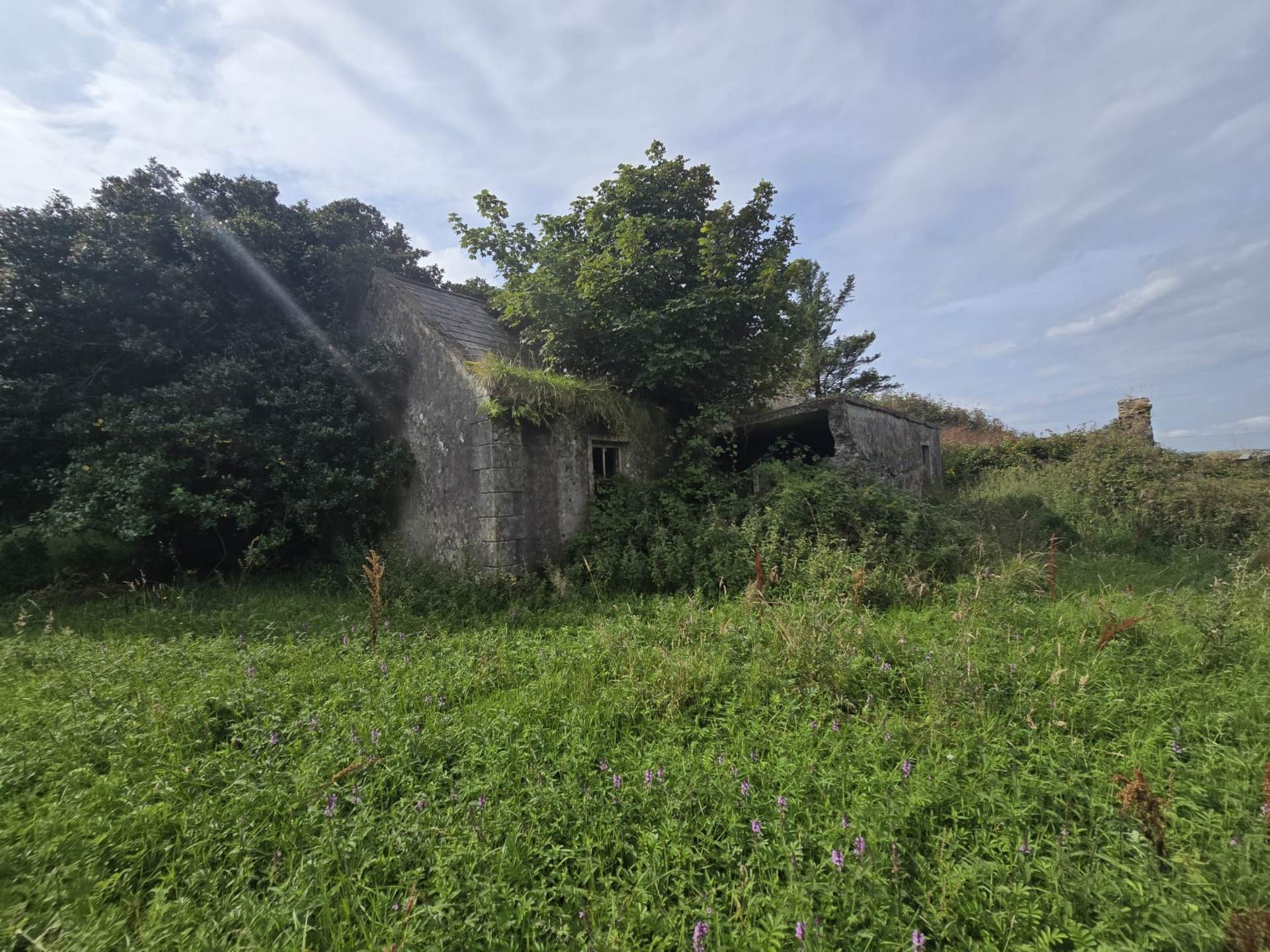 C. 44.16 Acres, Carrowmore, Ballycastle, Co. Mayo C. 44.16 Acres, Carrowmore, Ballycastle, Co. Mayo