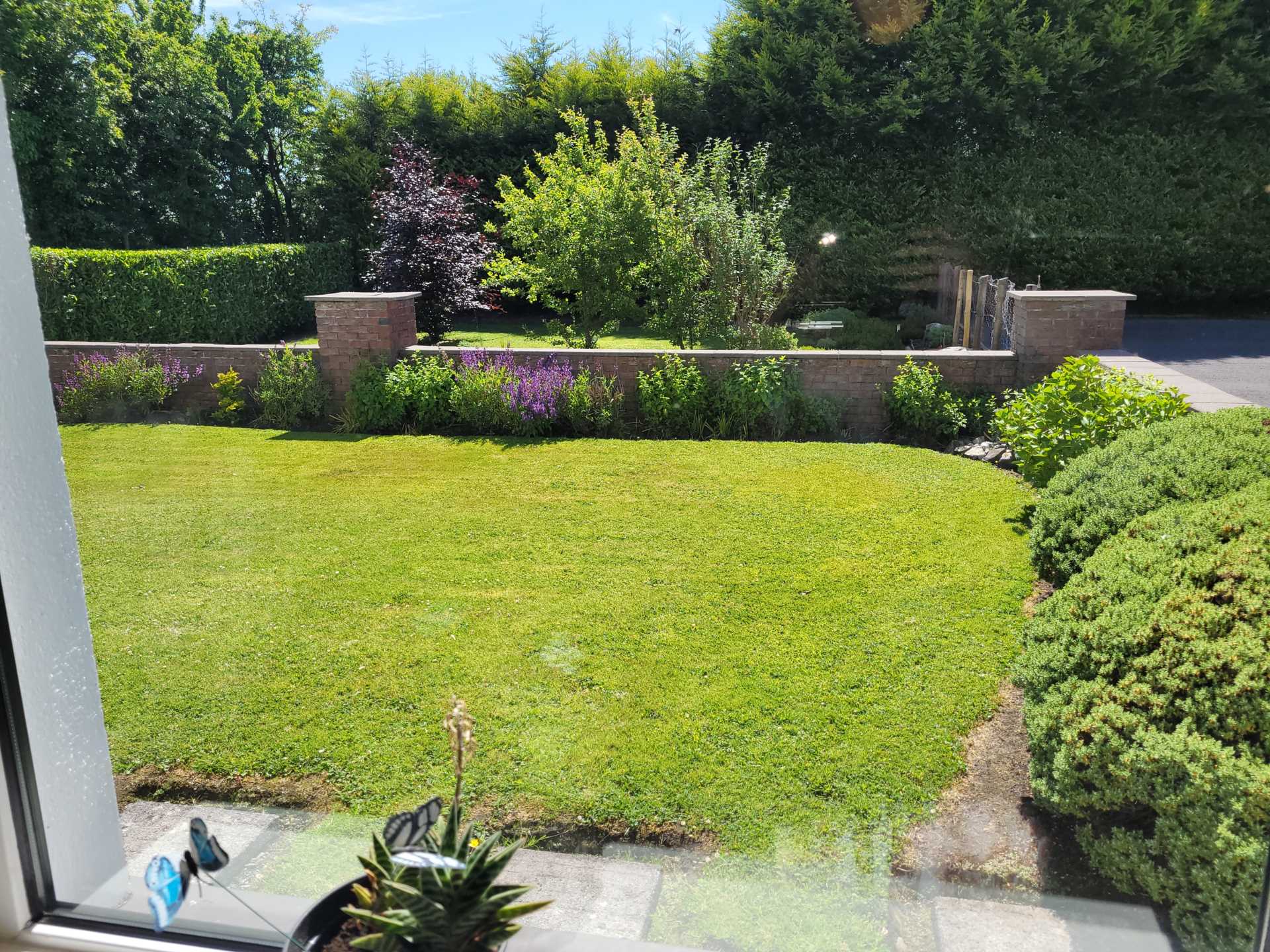 Raphael, Clover Hill, Ballaghaderreen, Co. Roscommon F45 DK25