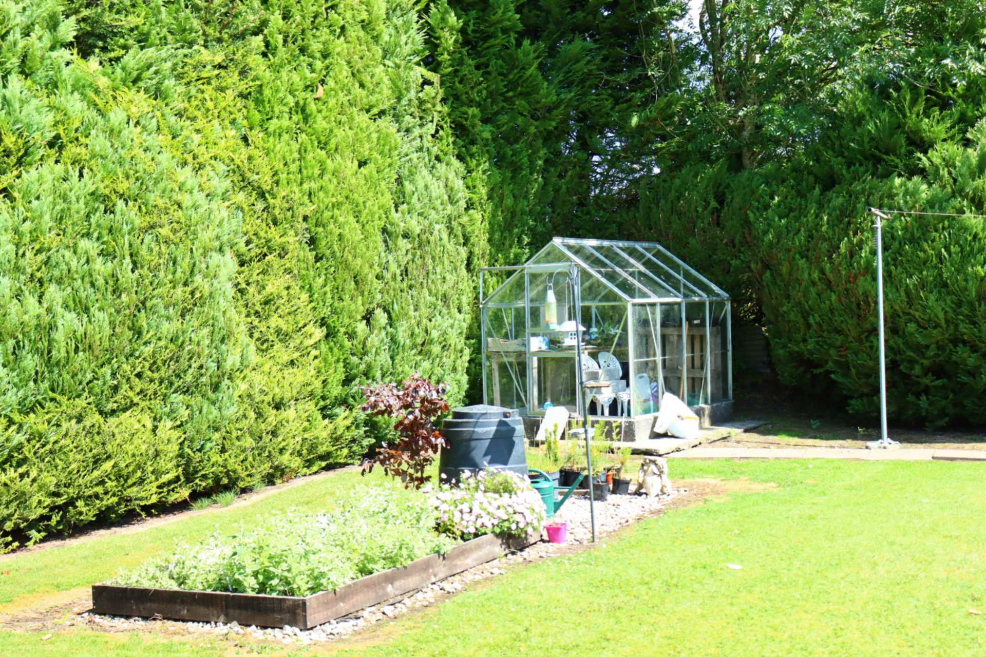 Raphael, Clover Hill, Ballaghaderreen, Co. Roscommon F45 DK25