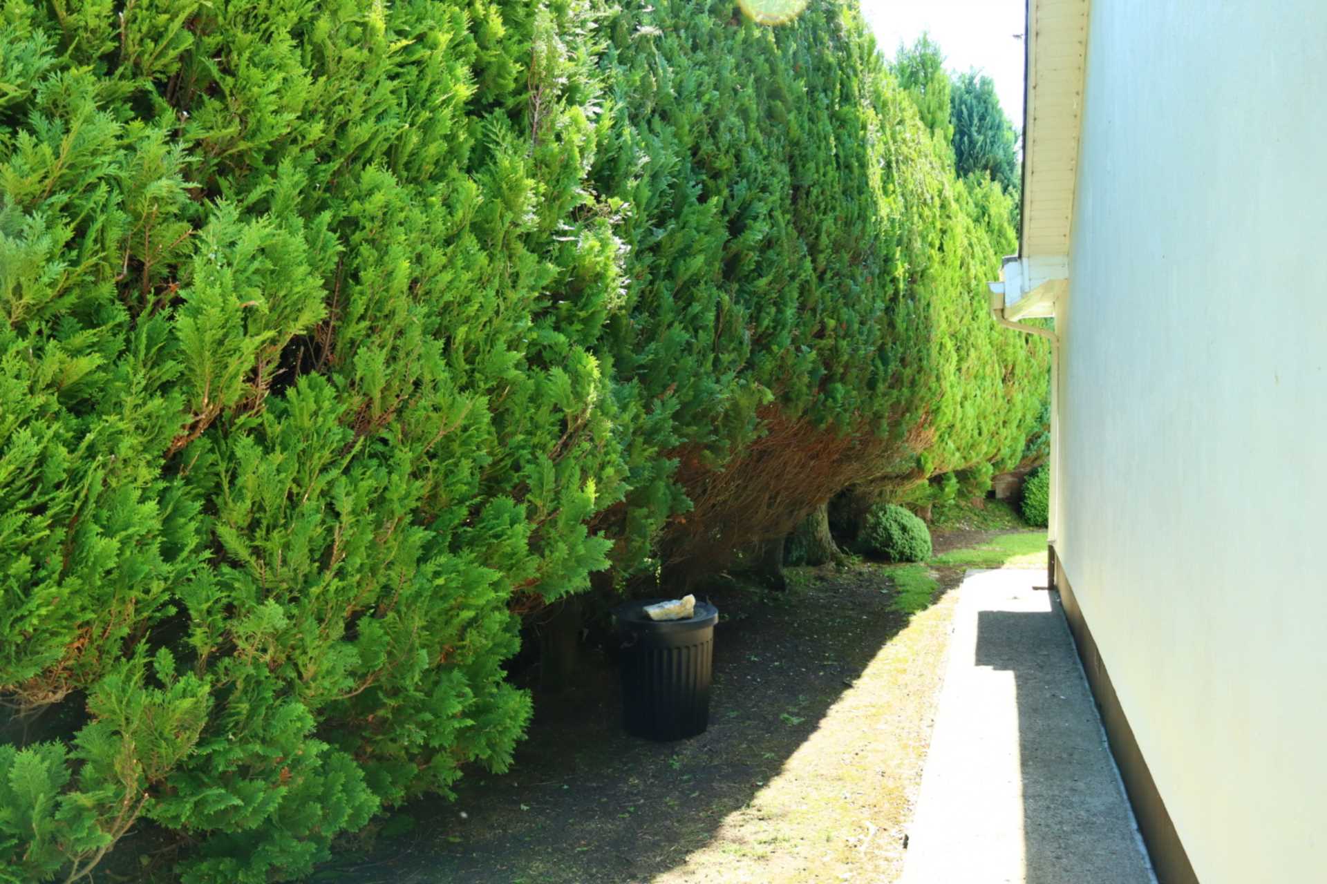 Raphael, Clover Hill, Ballaghaderreen, Co. Roscommon F45 DK25