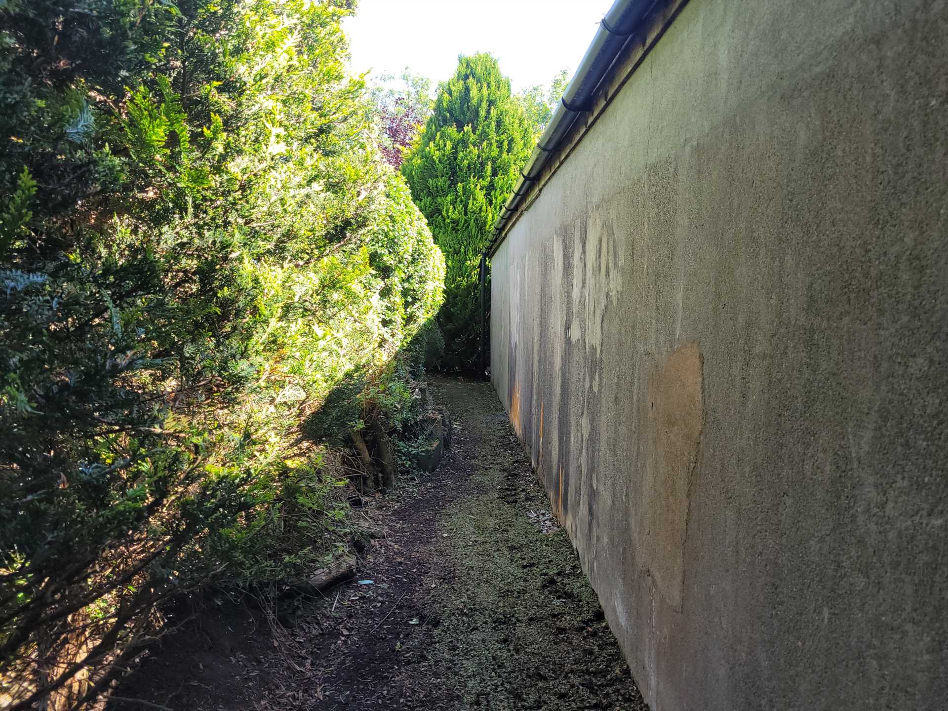 Raphael, Clover Hill, Ballaghaderreen, Co. Roscommon F45 DK25