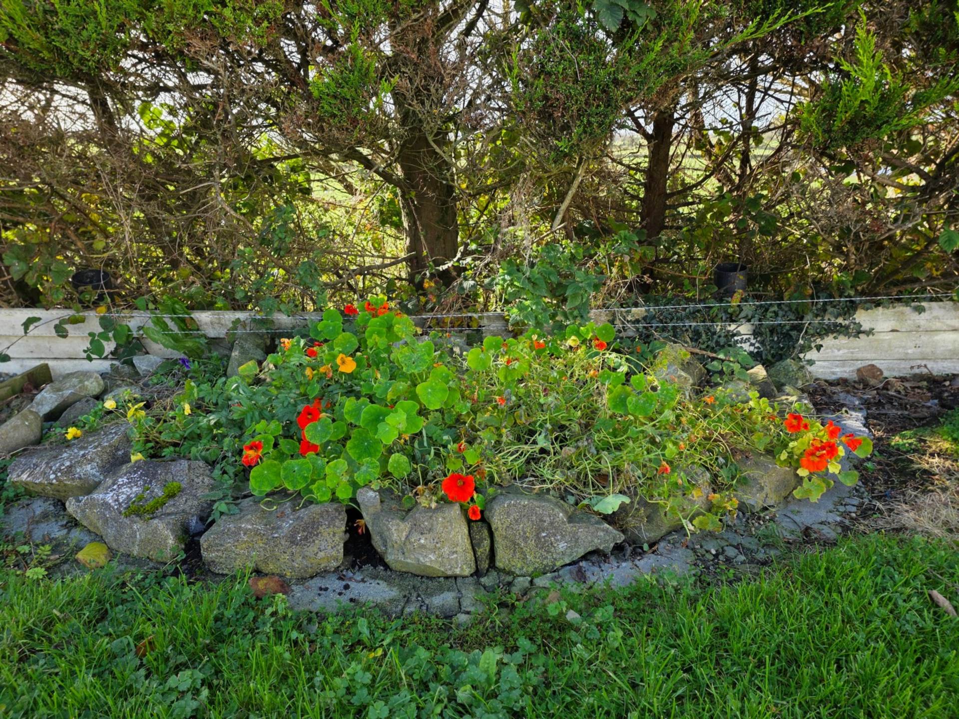 Esker, Glenamaddy, Co. Galway F45 DV24