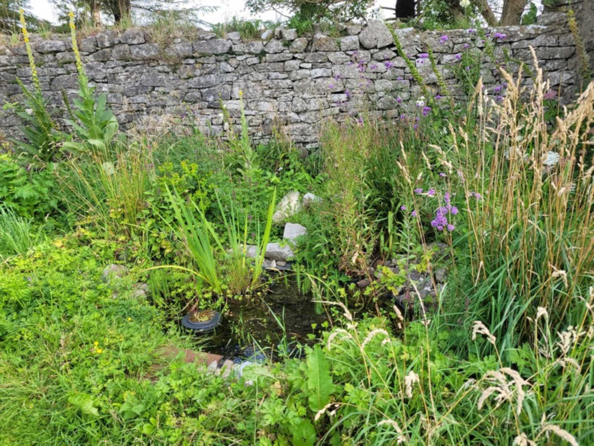 Manor, Tulsk, Co. Roscommon F45 P089  Manor, Tulsk, Co. Roscommon F45 P089