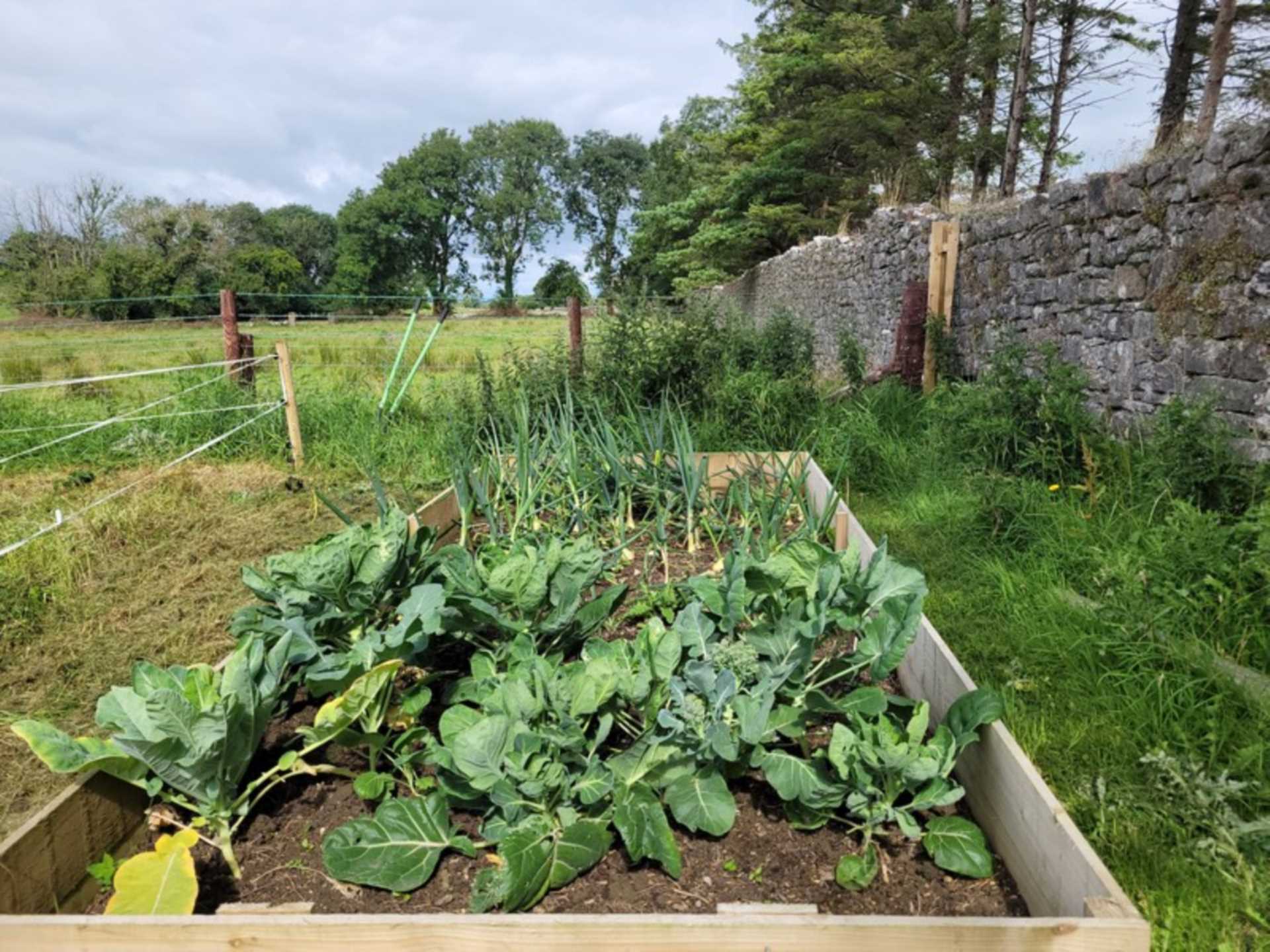 Manor, Tulsk, Co. Roscommon F45 P089  Manor, Tulsk, Co. Roscommon F45 P089