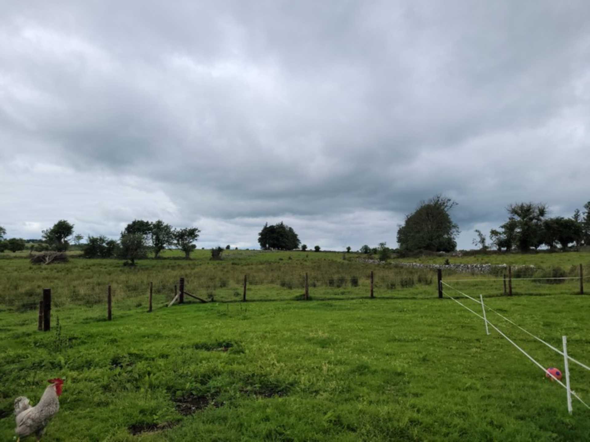 Manor, Tulsk, Co. Roscommon F45 P089  Manor, Tulsk, Co. Roscommon F45 P089