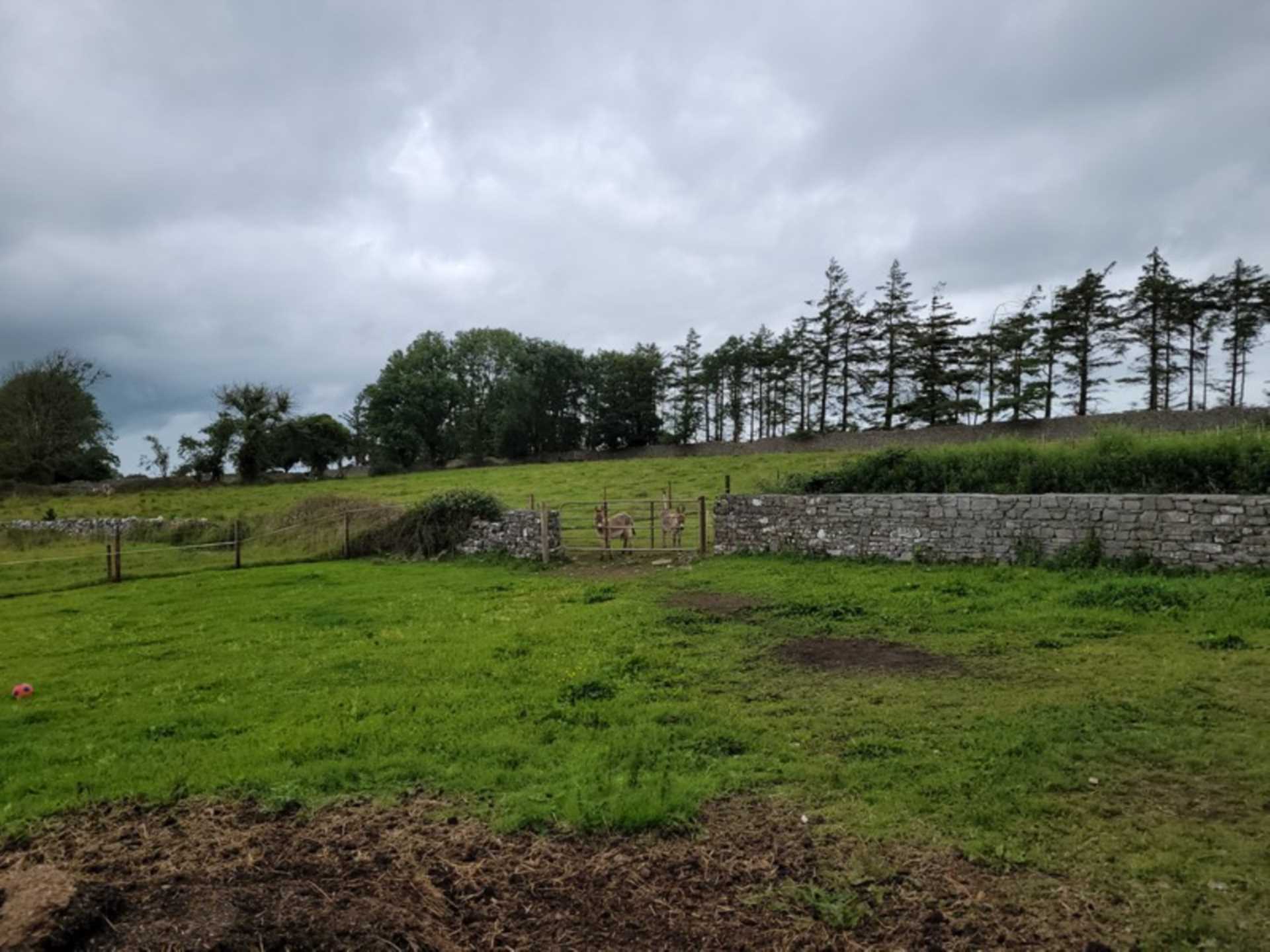 Manor, Tulsk, Co. Roscommon F45 P089  Manor, Tulsk, Co. Roscommon F45 P089