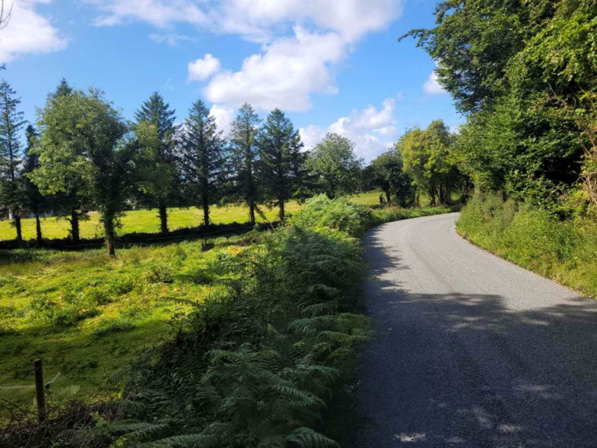 Kilmore, Ballygar, Co. Galway