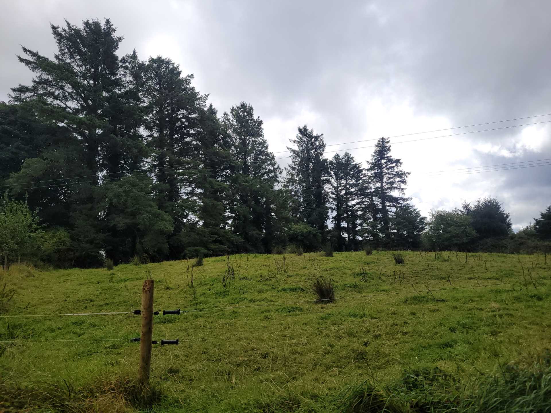 Cloonfane, Charlestown, Co. Mayo F12 EV61