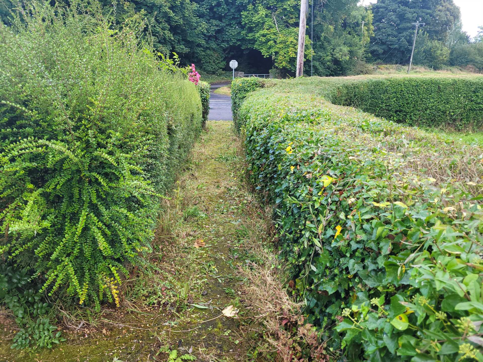 Cloonfane, Charlestown, Co. Mayo F12 EV61