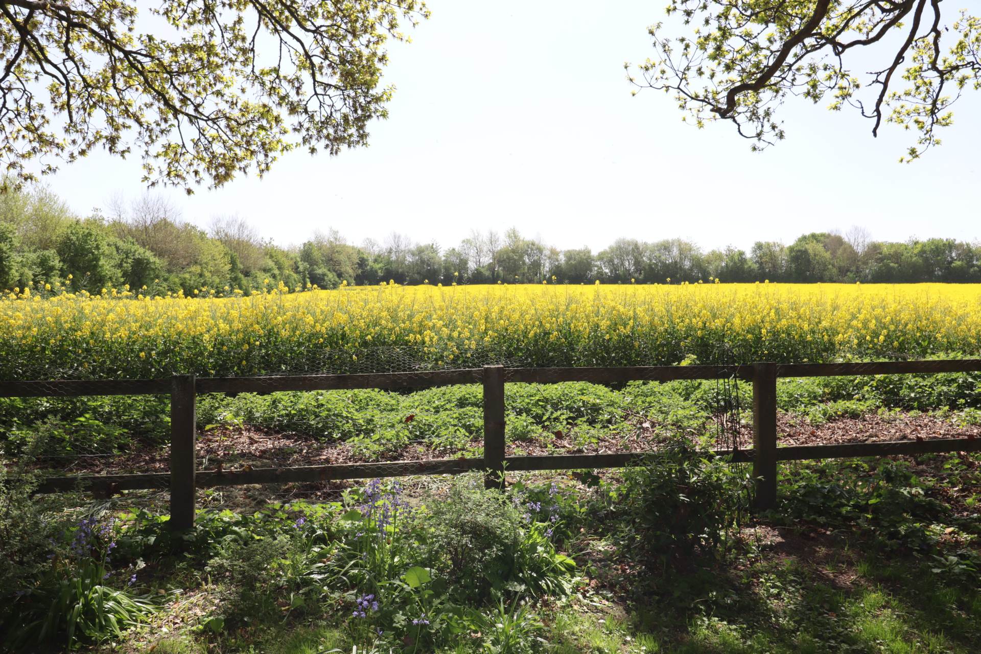 East Sands, Burbage, Marlborough, SN8 3AN, Image 13
