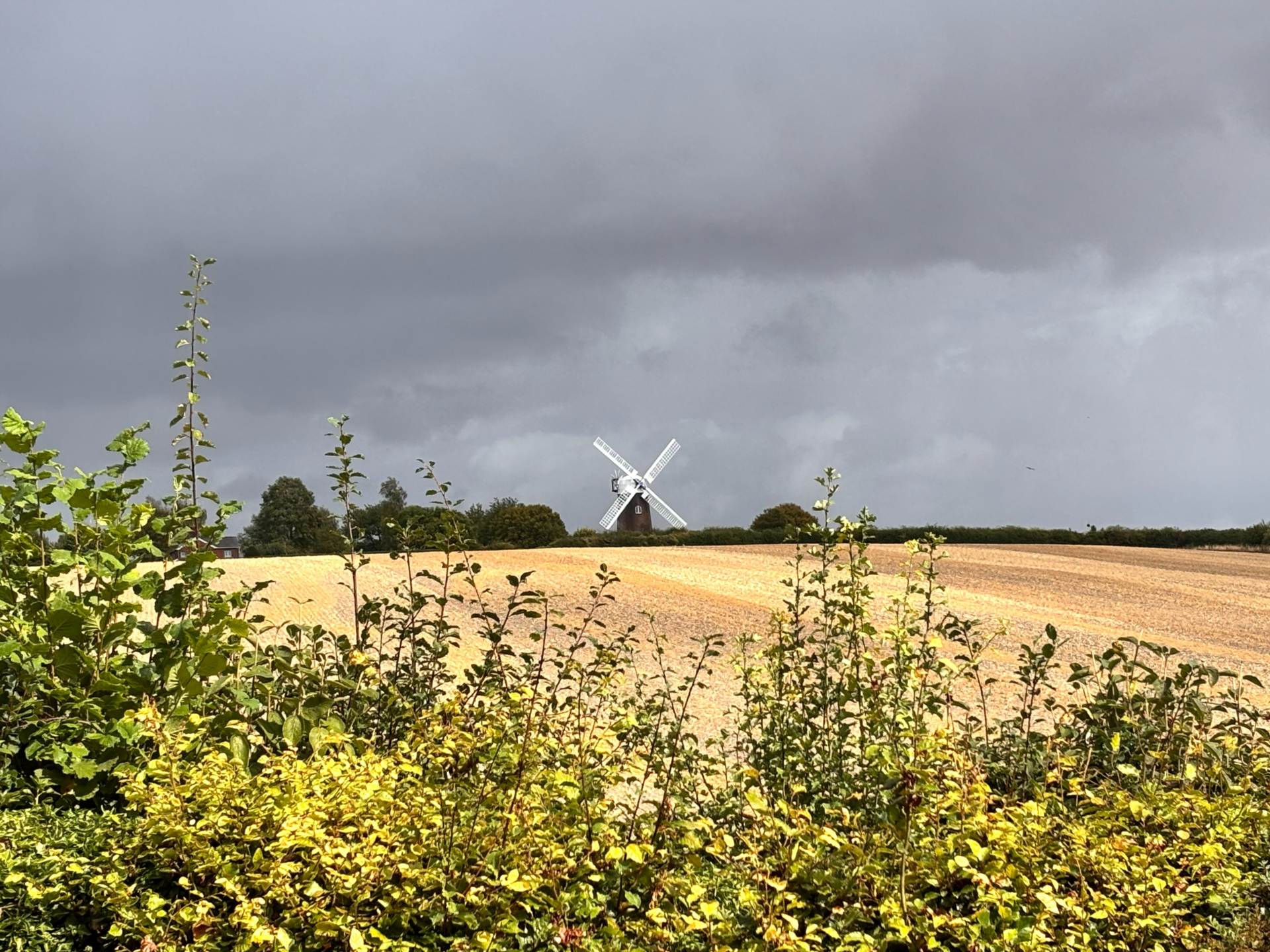 Wilton, Wilton, SN8 3SP, Image 3