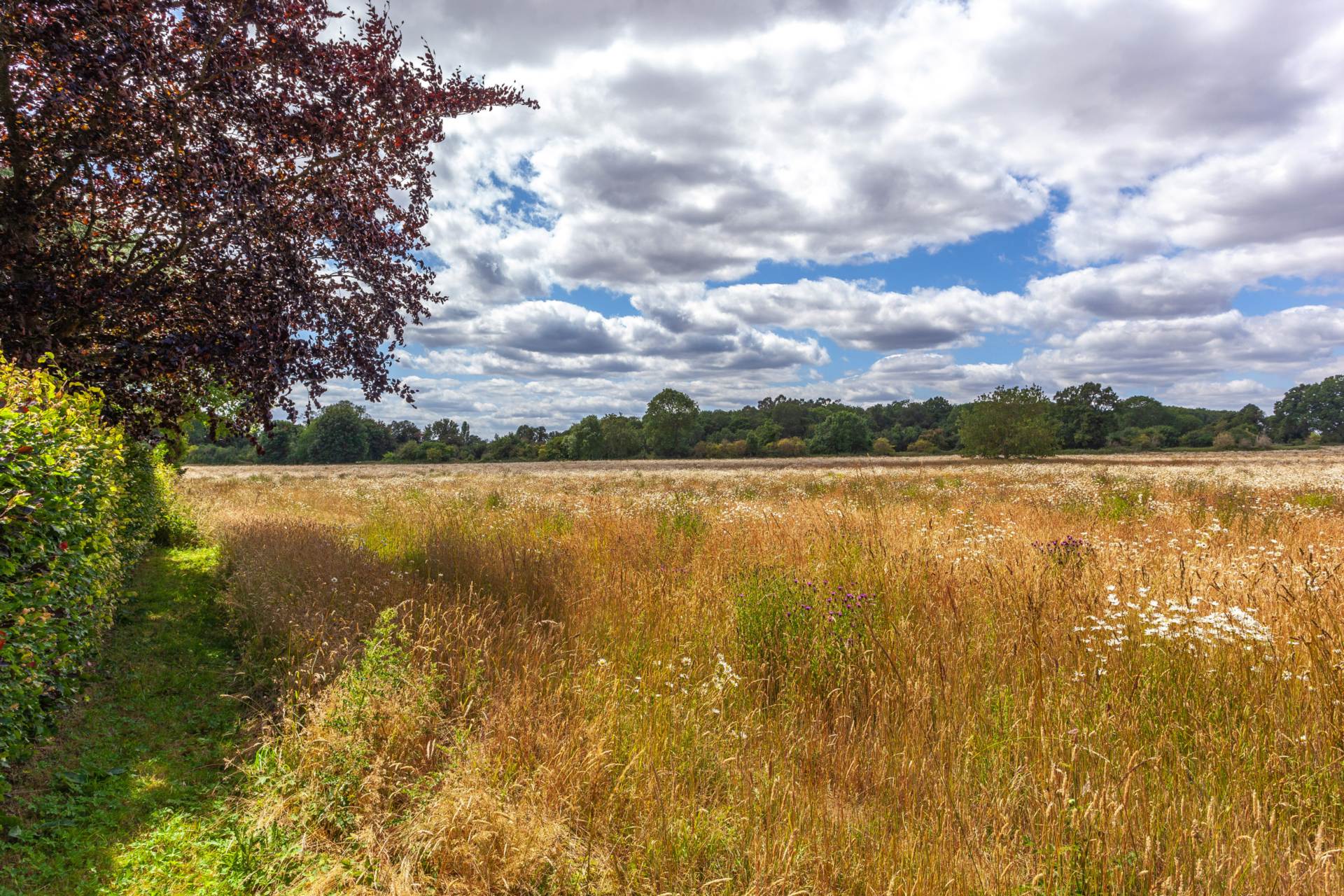 Tokers Green Lane, Kidmore End, South Oxfordshire, Image 33