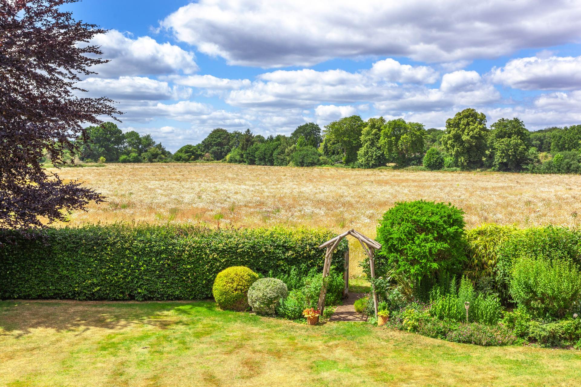 Tokers Green Lane, Kidmore End, South Oxfordshire, Image 42