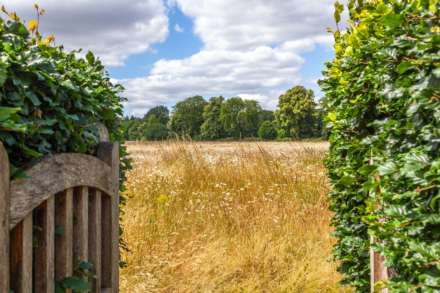Tokers Green Lane, Kidmore End, South Oxfordshire, Image 3