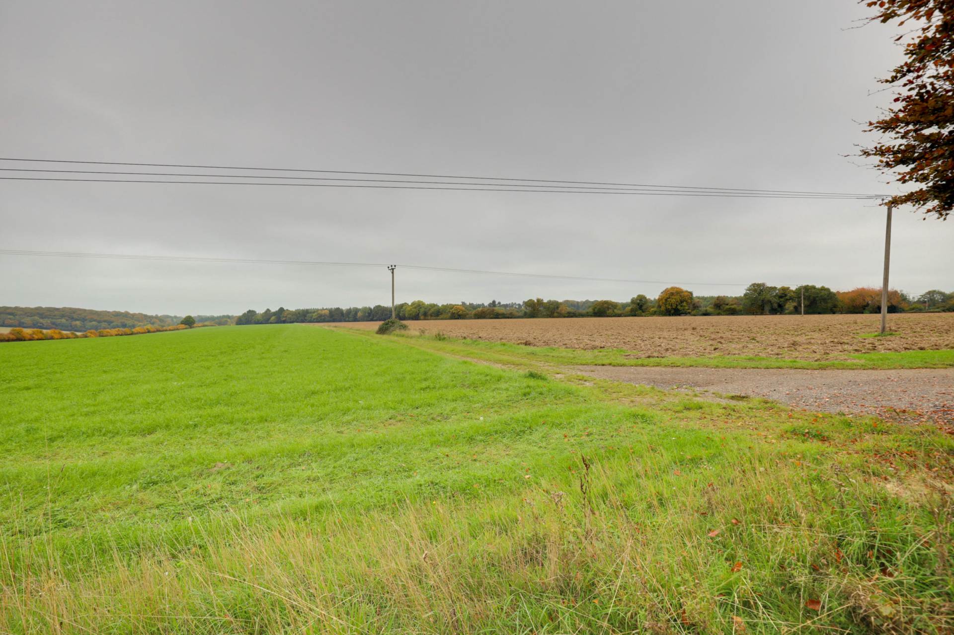 Shamrock, Port Hill, Henley On Thames, Image 42