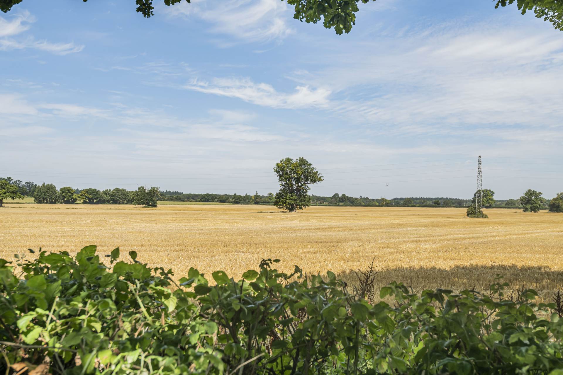 The Old School House,Trench Green, Mapledurham, South Oxfordshire, Image 12